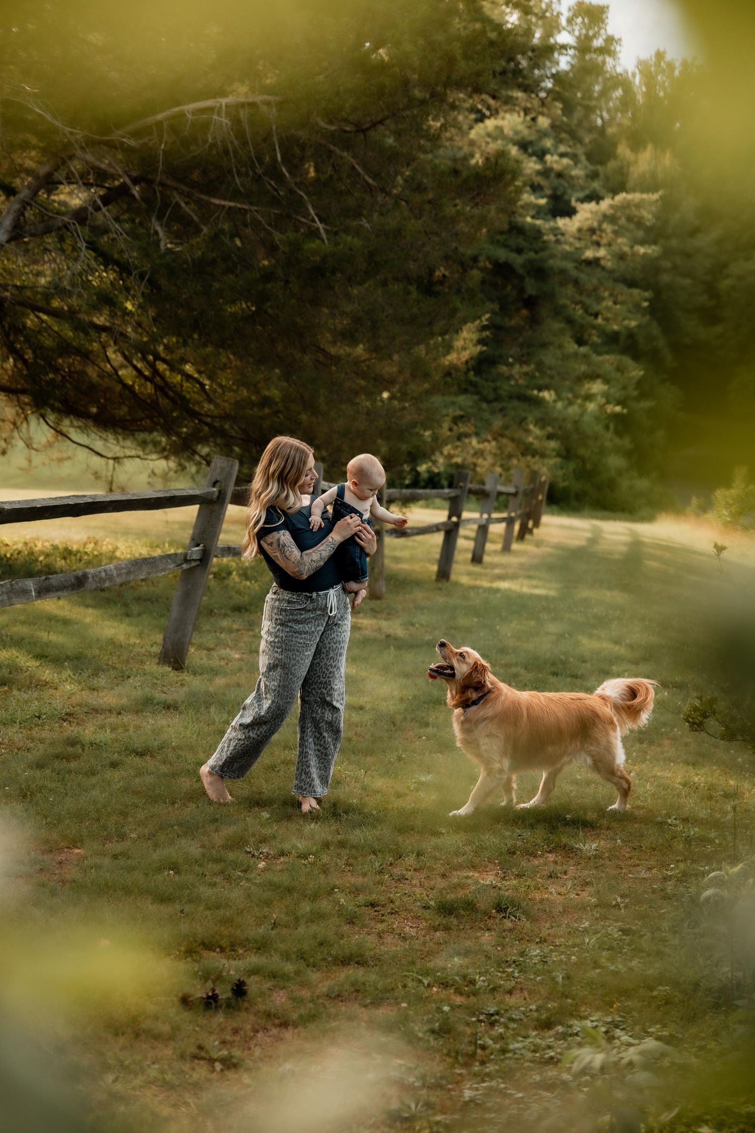 Woman holding baby walks barefoot on green grass with golden retriever dog near wooden fence in sunny park.