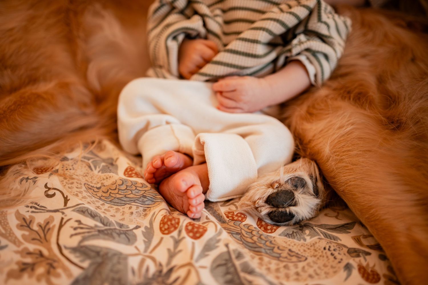 Baby's tiny feet resting on a brown patterned blanket next to a sleeping dog.