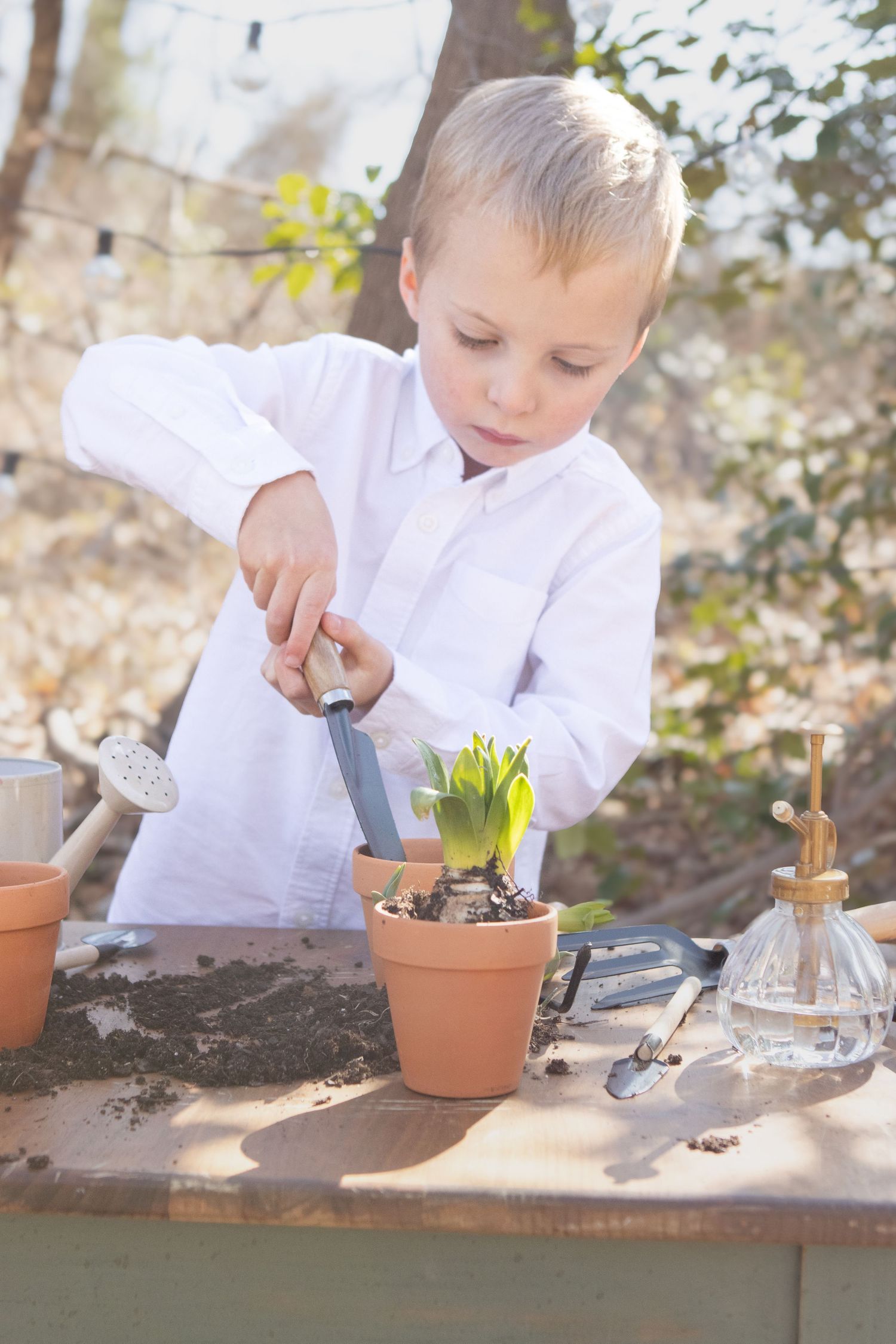 Young gardener tending to spring bulbs in terra cotta pot on vintage green table.