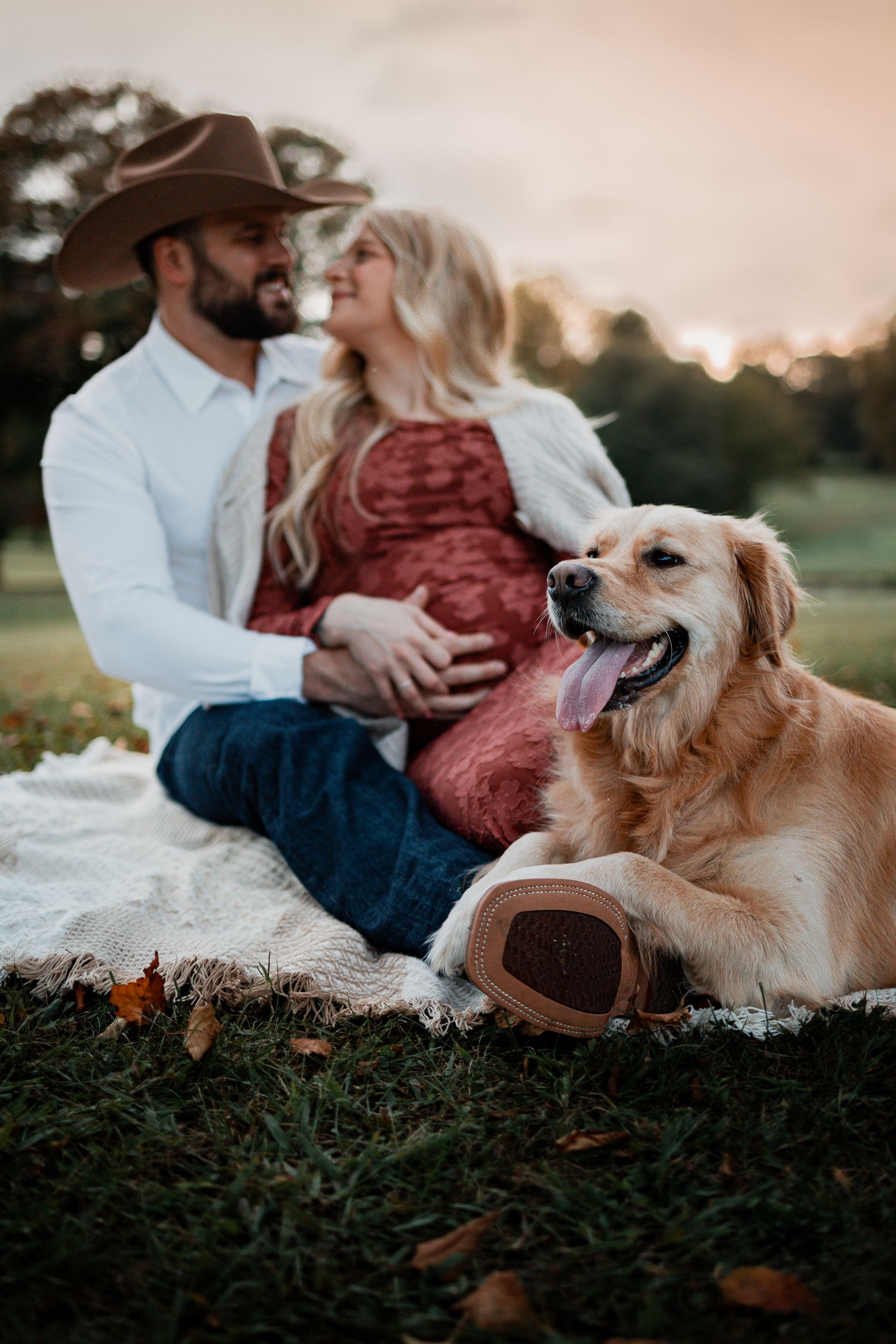 Golden retriever dog relaxes on blanket during romantic sunset photoshoot in grassy field.