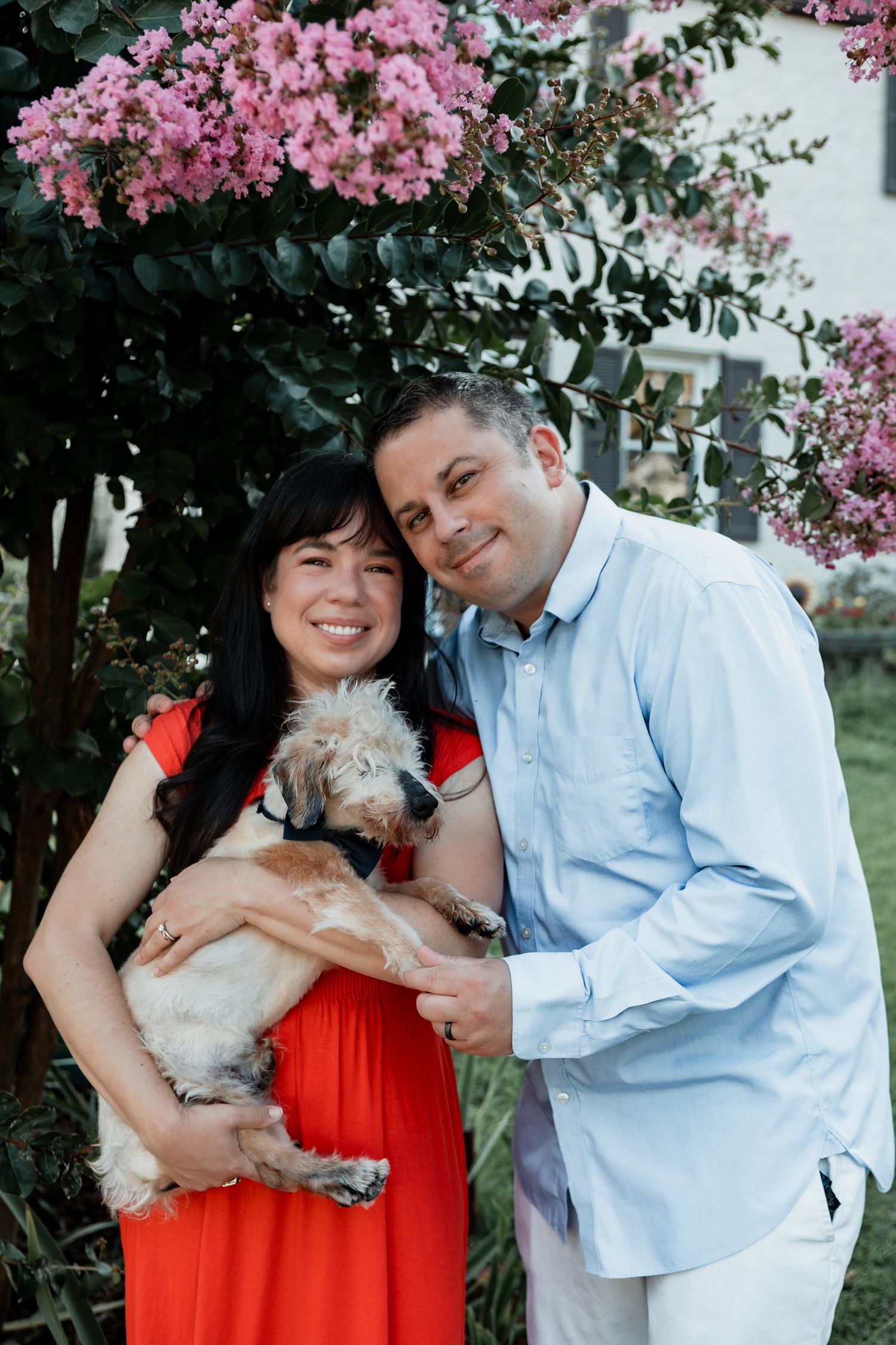 A couple poses outdoors with their small white dog under blooming pink cherry blossoms in a springtime photoshoot.