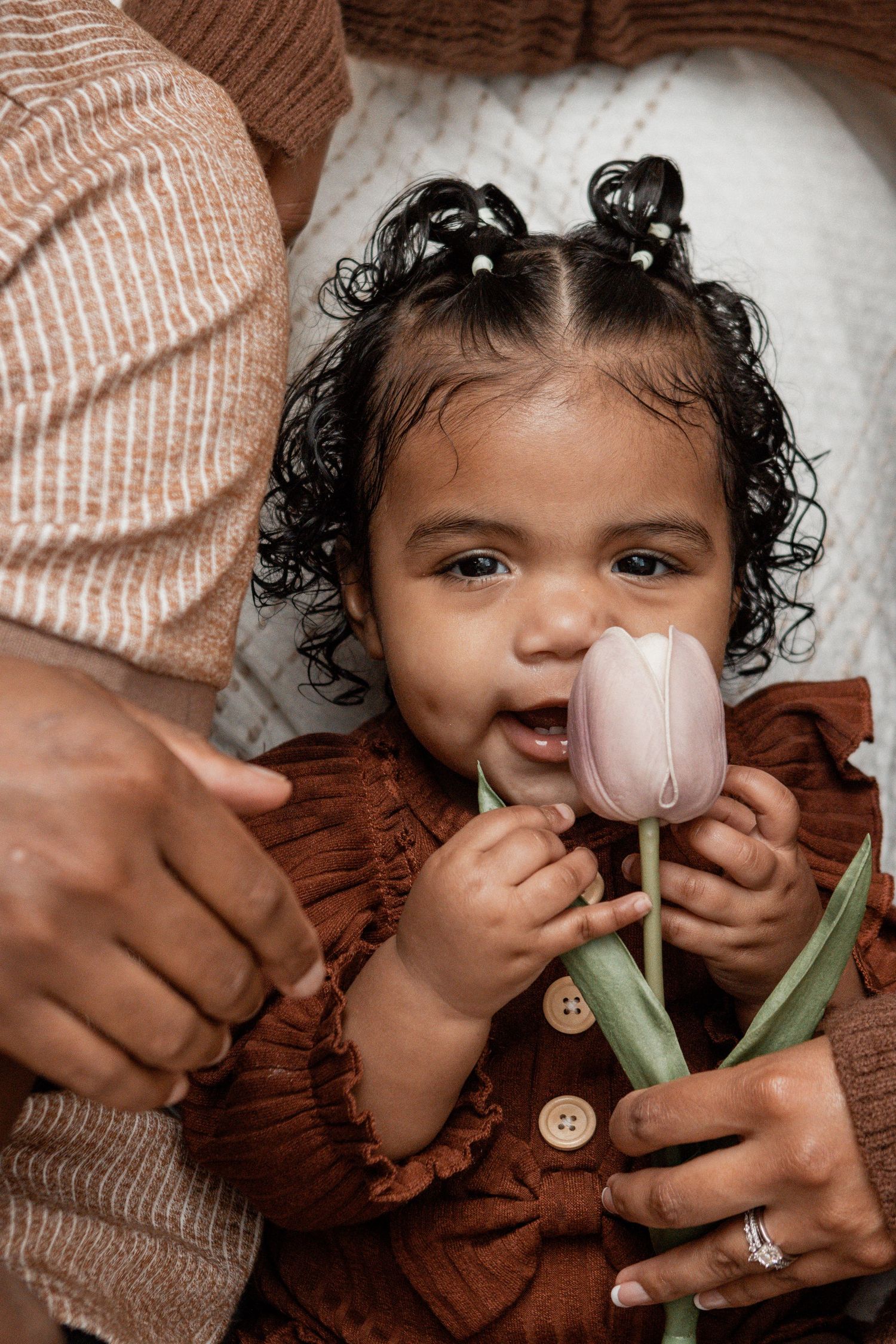 Delighted young child in brown dress holding and smelling a soft pink tulip flower.