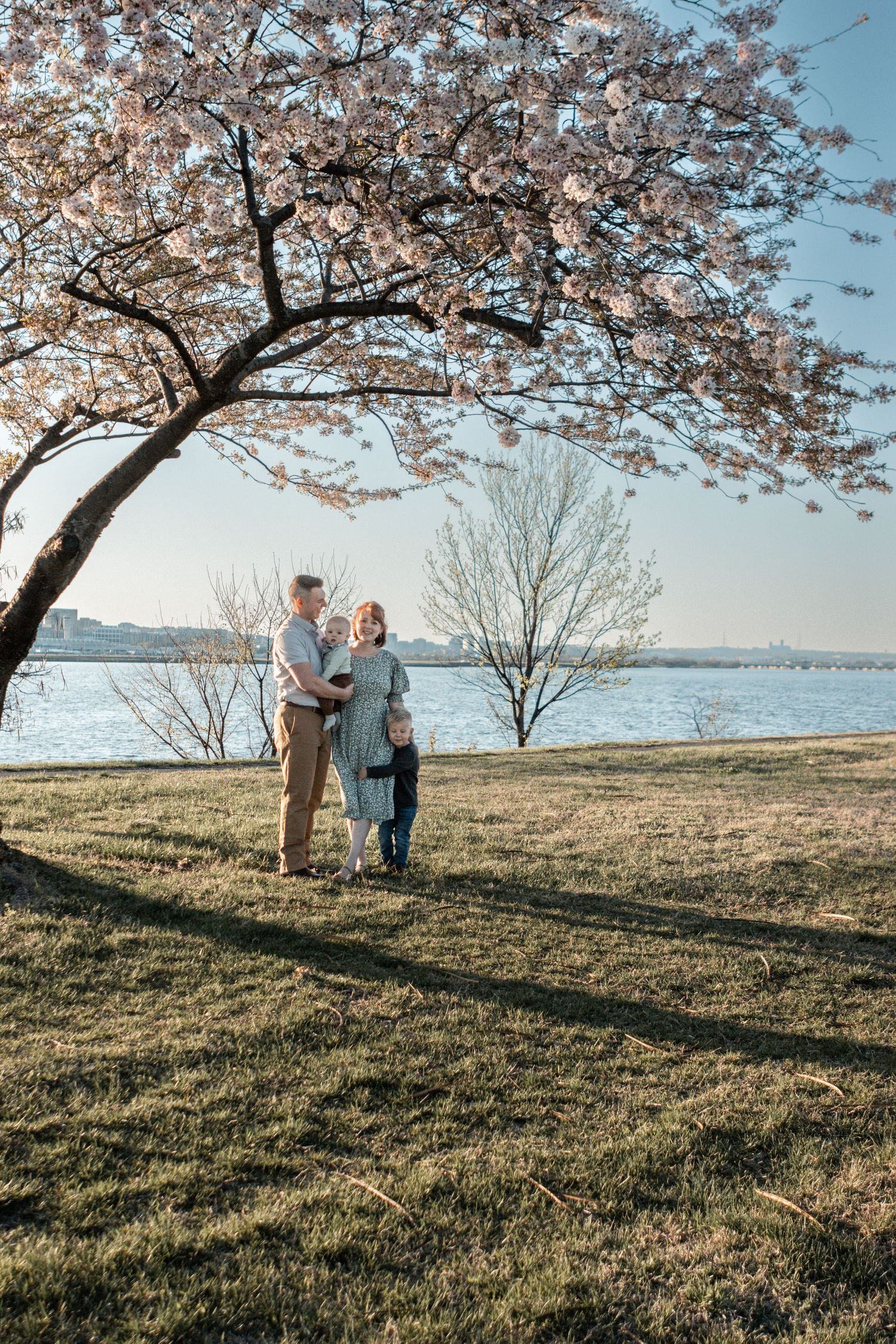 Cherry blossom trees bloom over a scenic waterfront landscape as people gather on the grassy hillside.