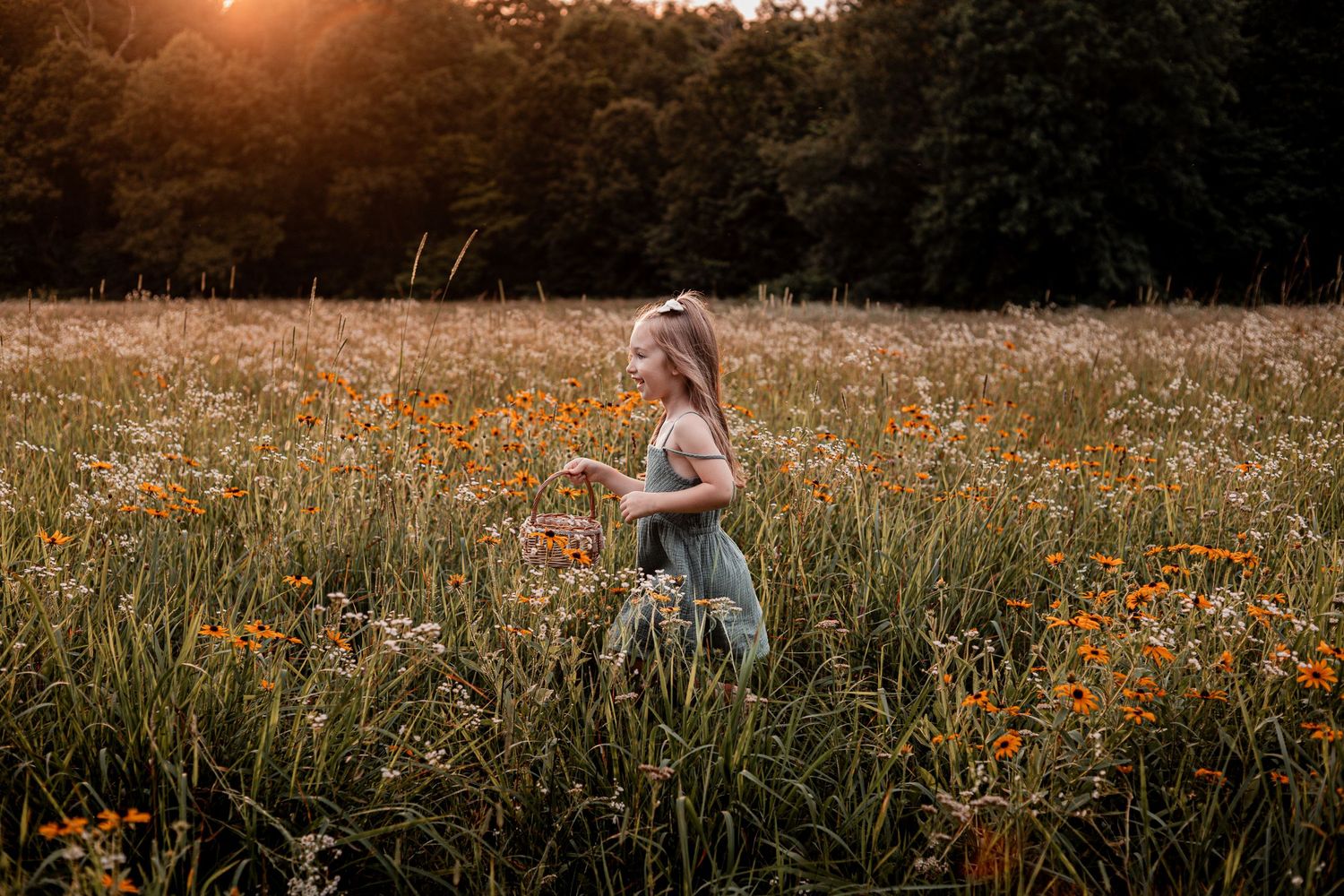 Dreamy autumn scene of a wildflower field at golden hour with orange cosmos blooms swaying in the breeze.