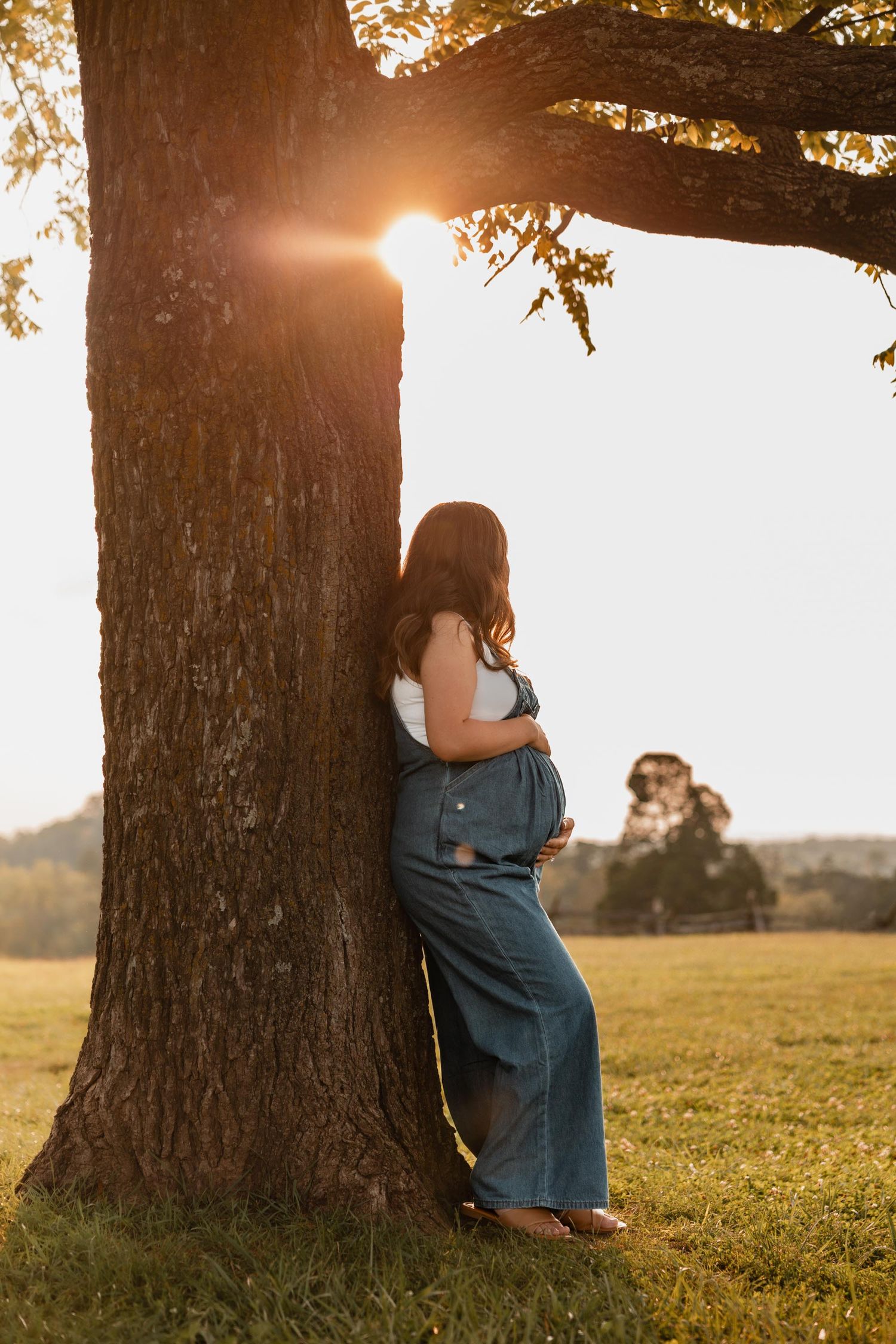 Pregnant woman in blue overalls leaning against a large tree at golden hour in a lush green field.