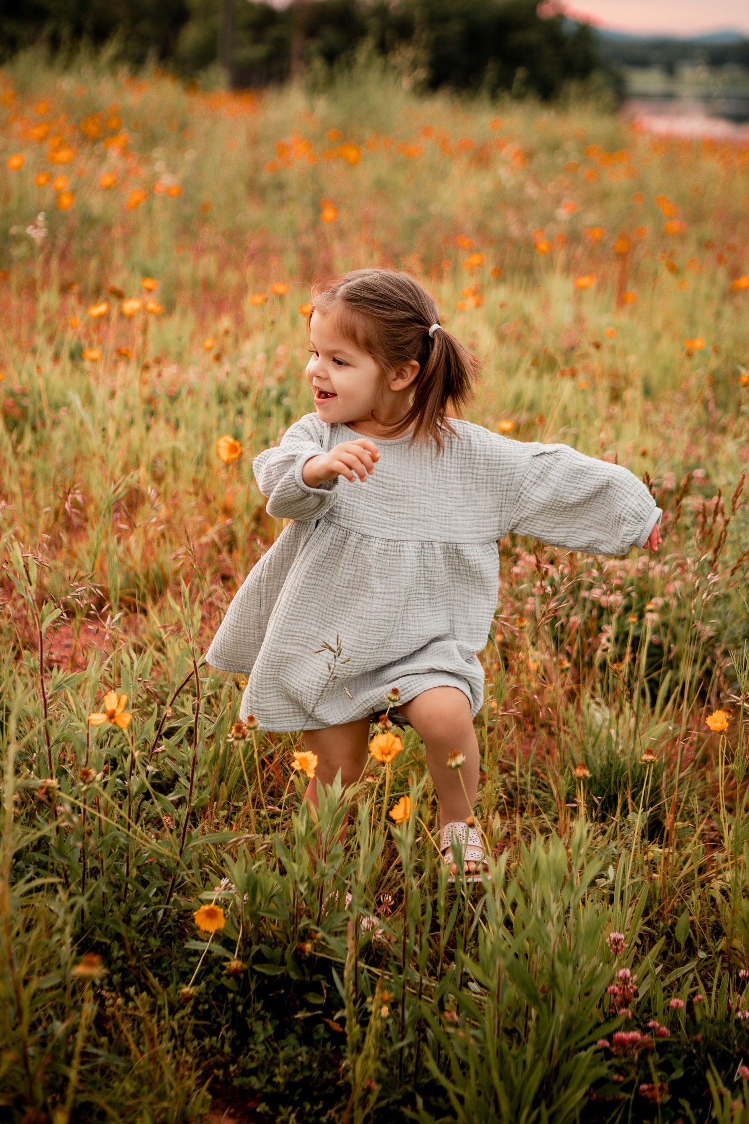 Child in a white sweater playing among vibrant orange wildflowers in a meadow.