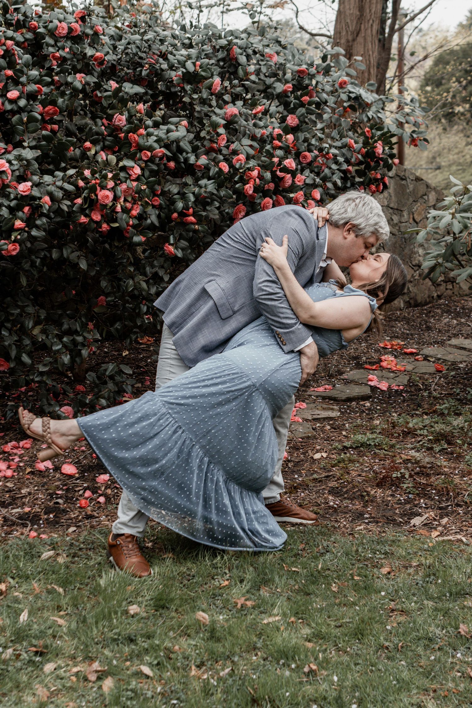 A series of artistic photos showing a woman in gray dress posed among blooming pink camellia bushes.