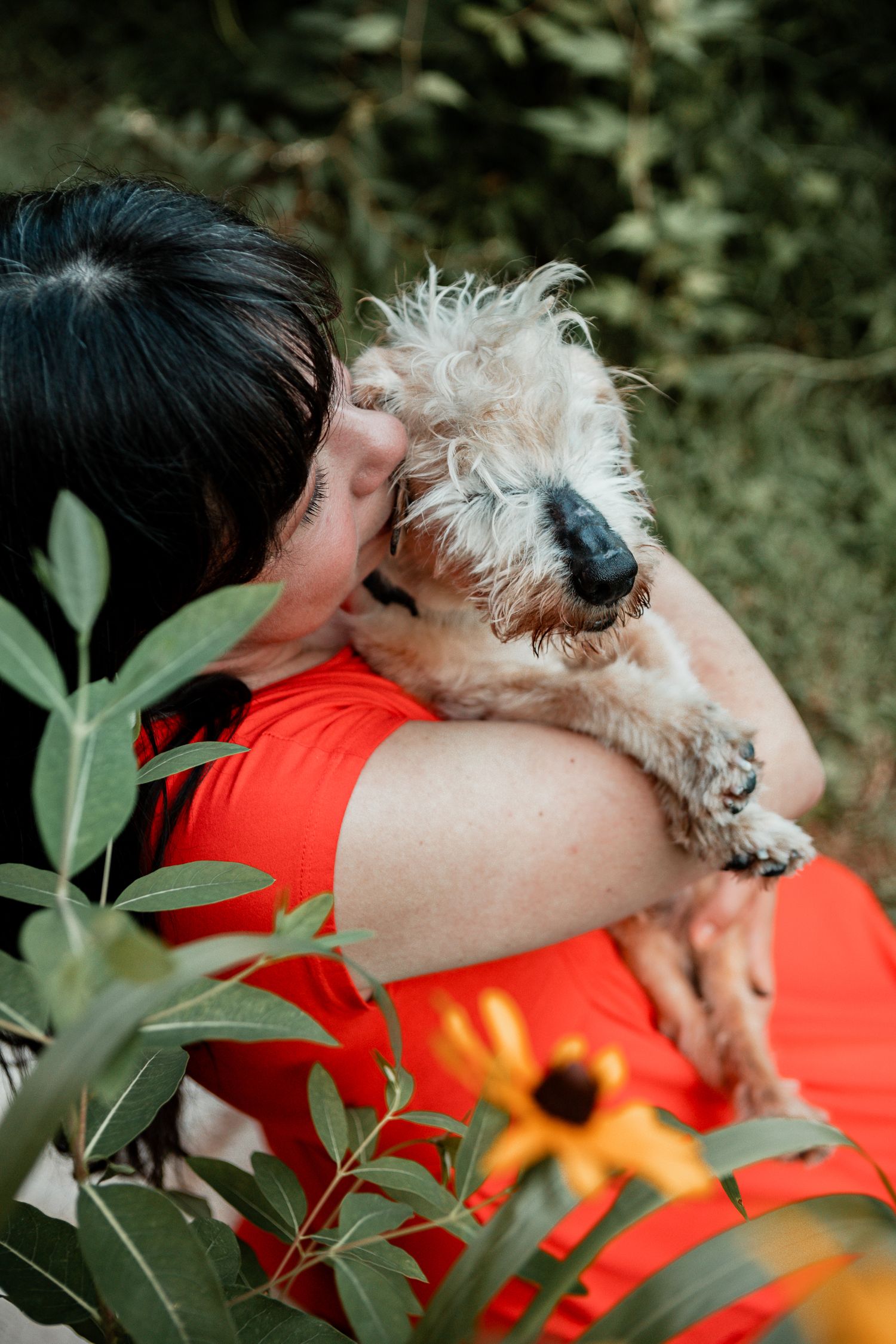Small fluffy white dog being held and cuddled lovingly against an orange background with green leaves.