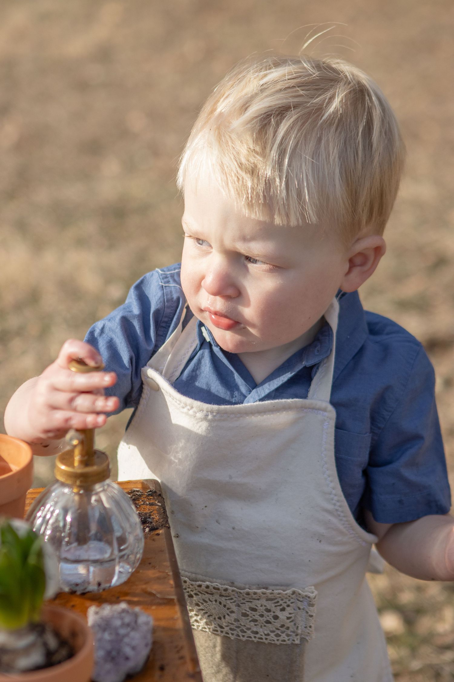 Young gardener in blue shirt and apron tends to potted plants on rustic wooden table.