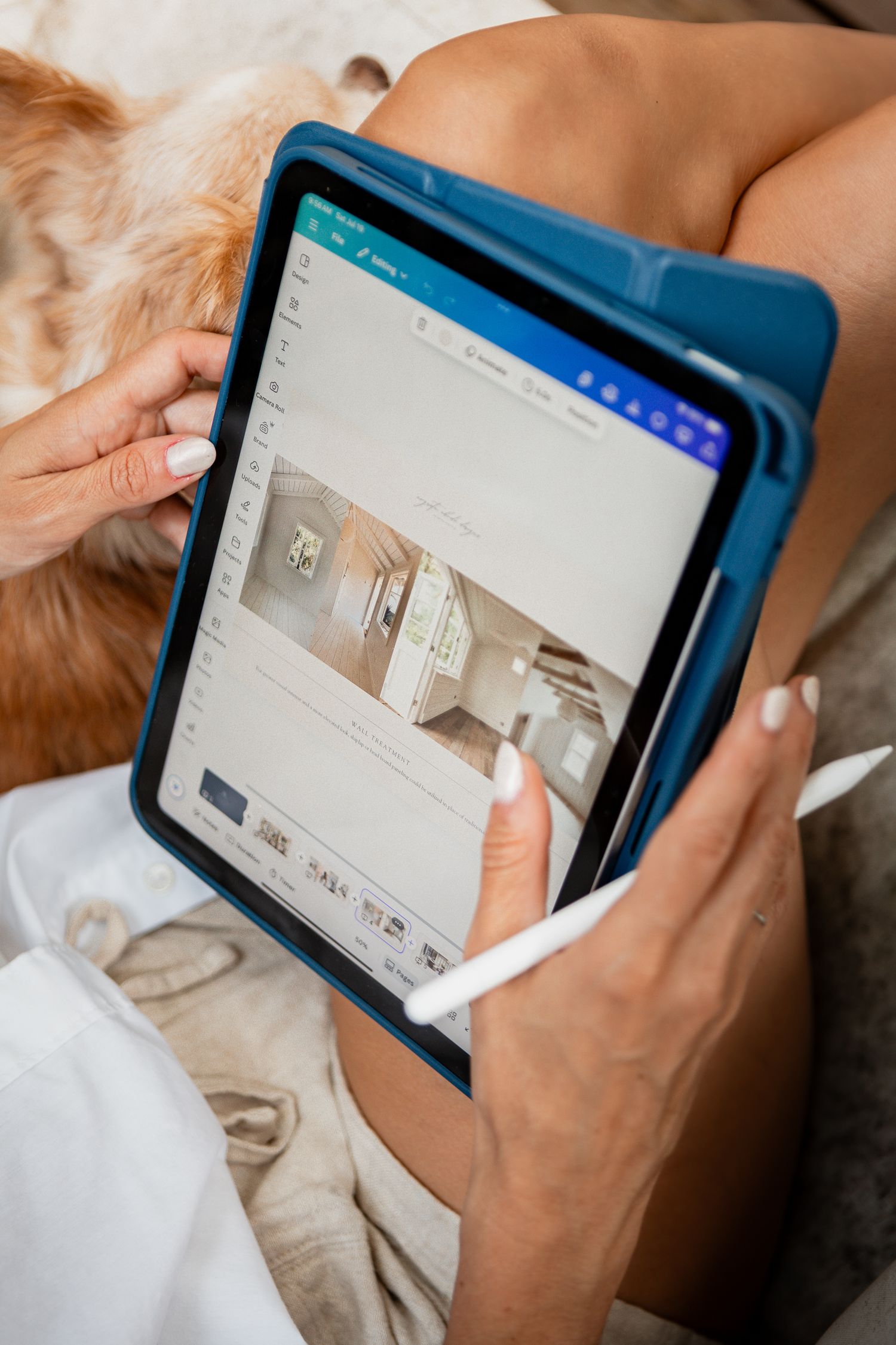 Person browsing interior design photos on a tablet while relaxing with a fluffy cat nearby.