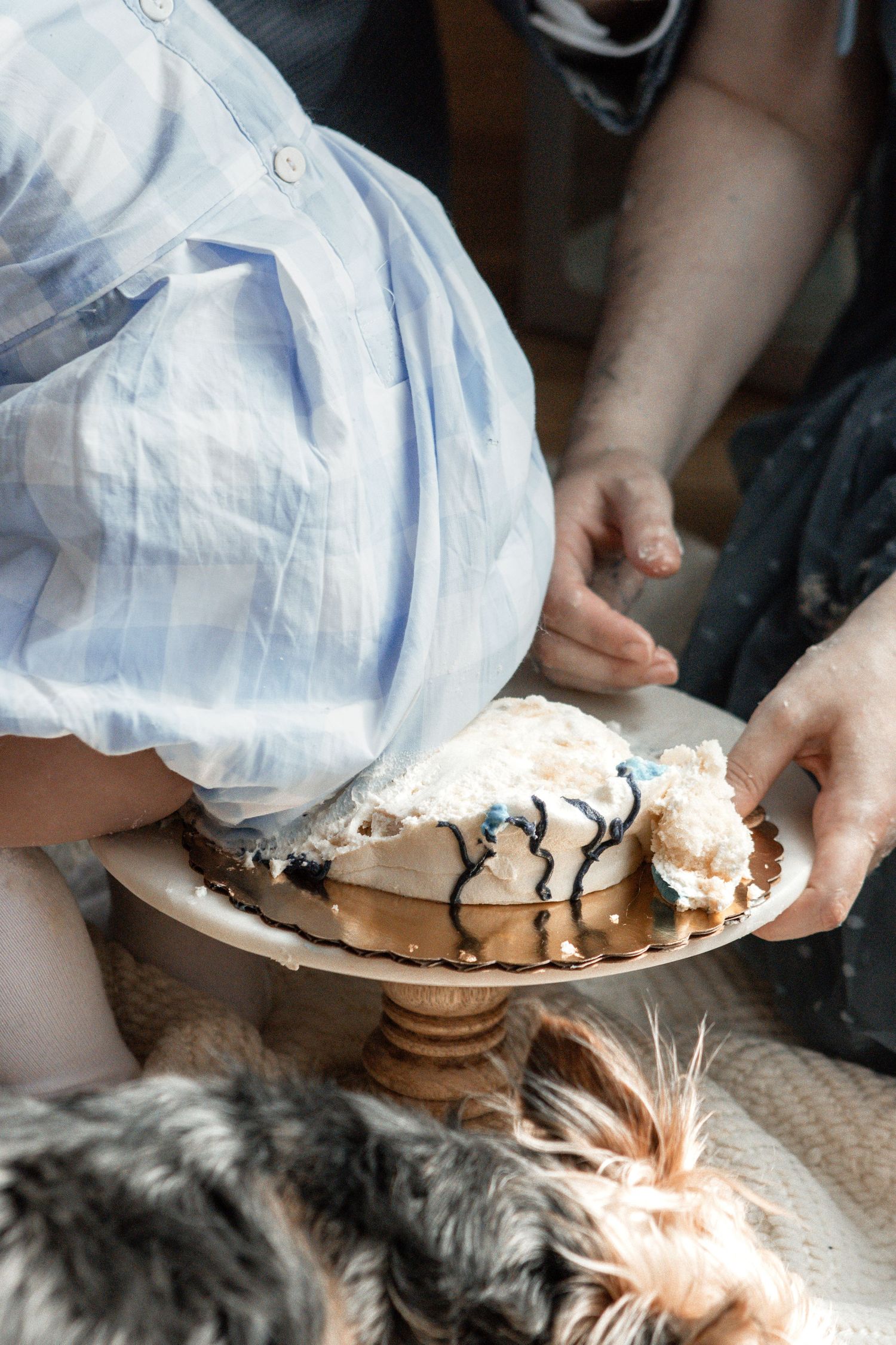 Woman's hands serving homemade chocolate meringue cookies on a white plate while a cat watches curiously.