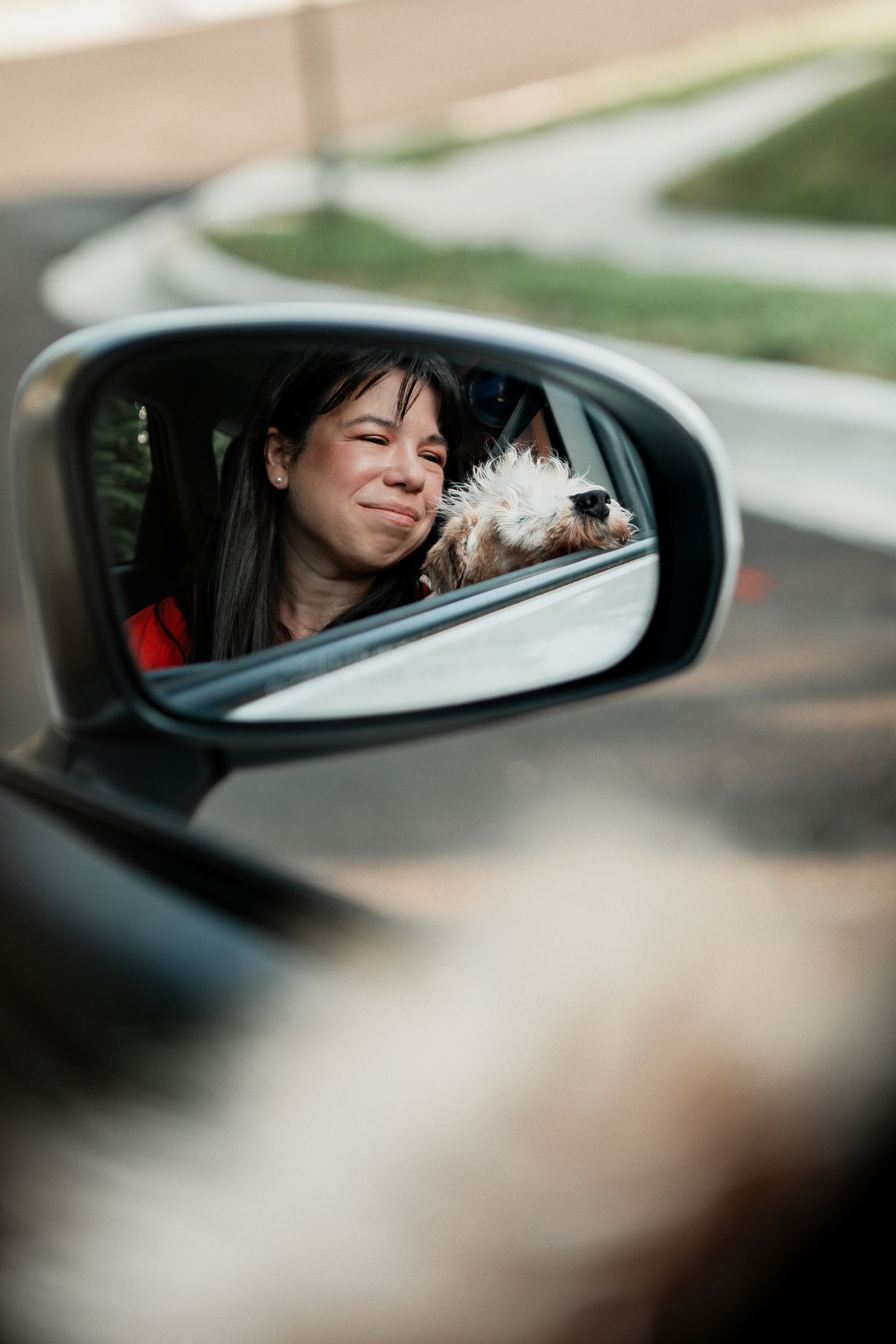 Car side mirror reflection shows someone in a vehicle with a small dog.