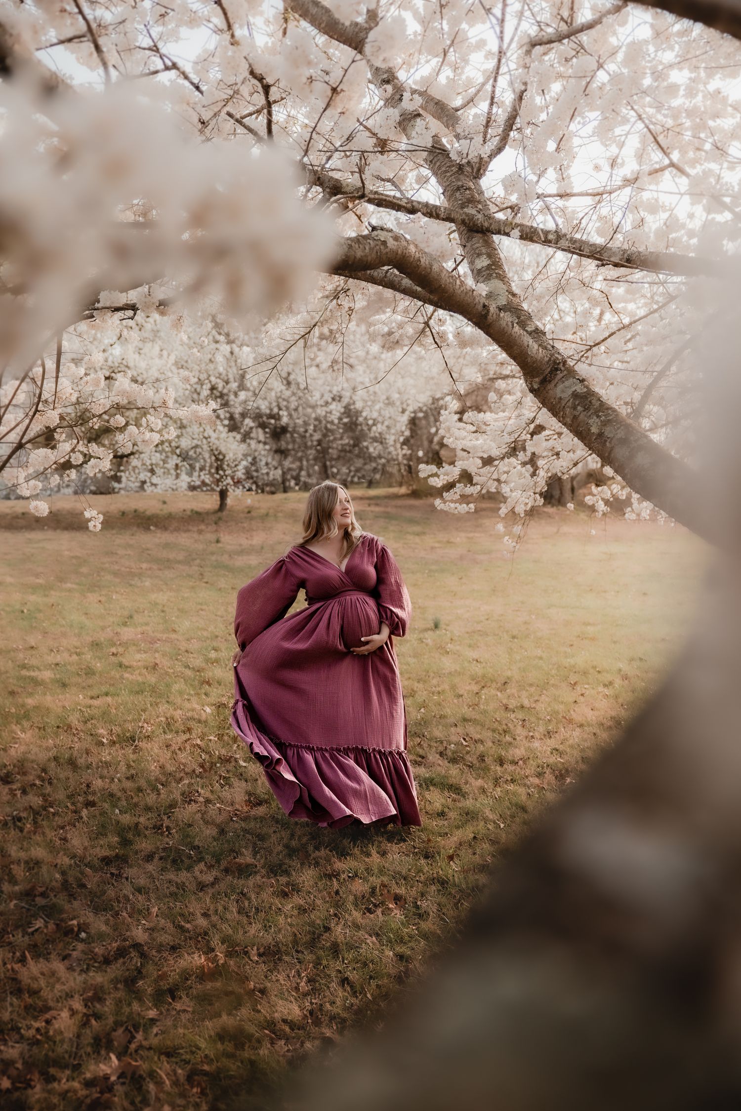 Pregnant woman in flowing mauve dress baby bump under blooming white cherry blossom trees in a serene park setting.Lifestyle Virginia