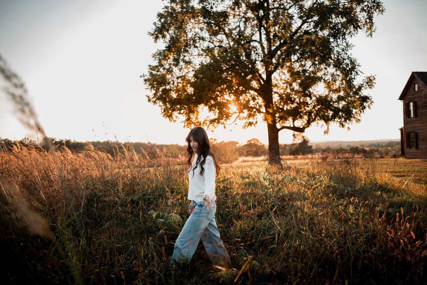 A figure stands silhouetted in a golden wheat field at sunset with trees in the background during golden hour.