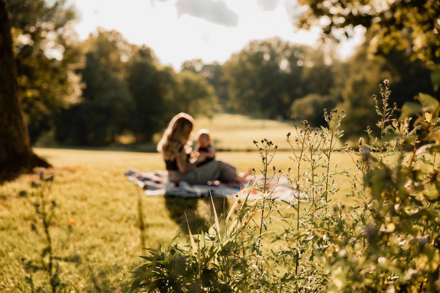 Couple enjoying a sunny picnic on a blanket in a lush green park surrounded by wildflowers and trees.