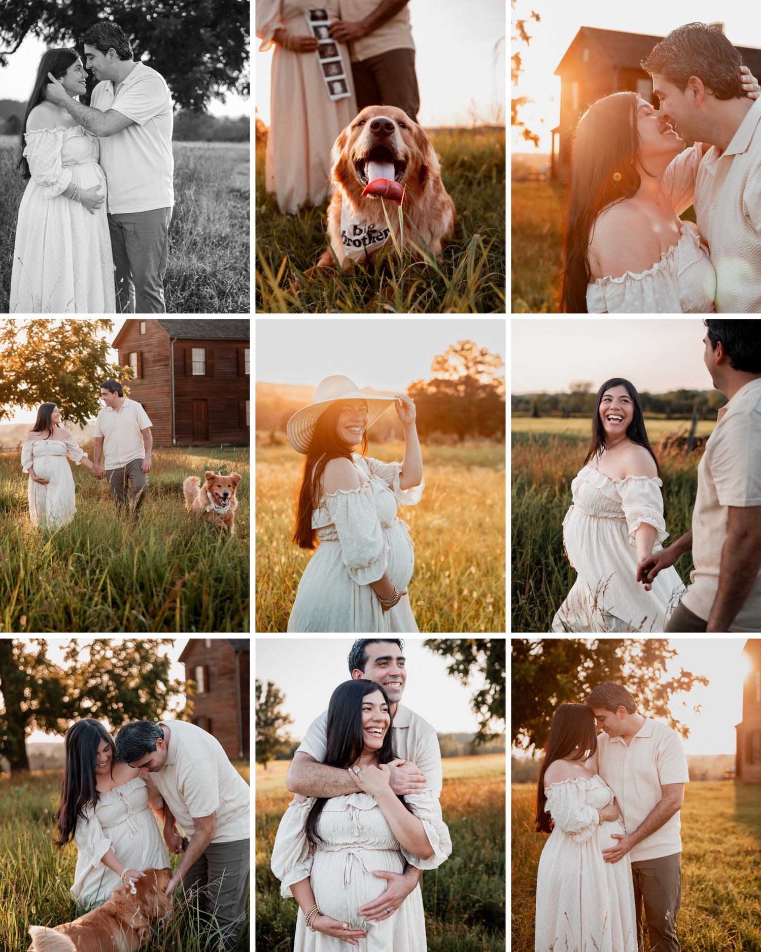 A romantic maternity photo session in a golden field at sunset captures tender moments between an expecting couple.
