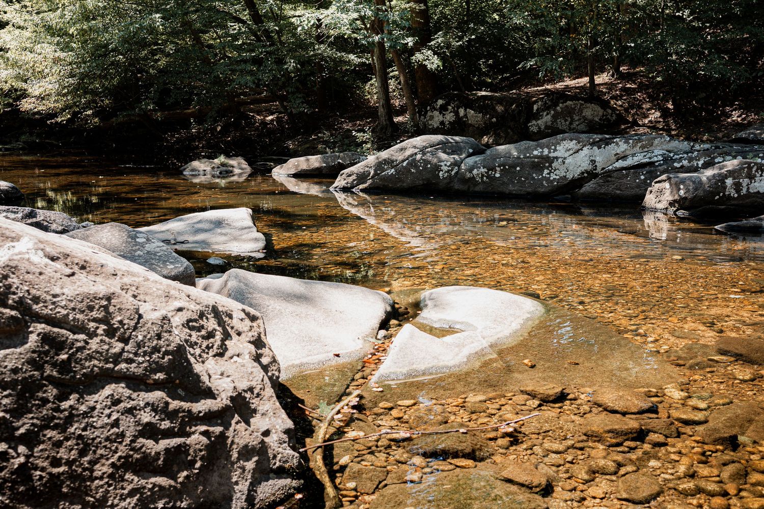 Cascading mountain stream flows over rocky terrain with clear water and autumn foliage in background.