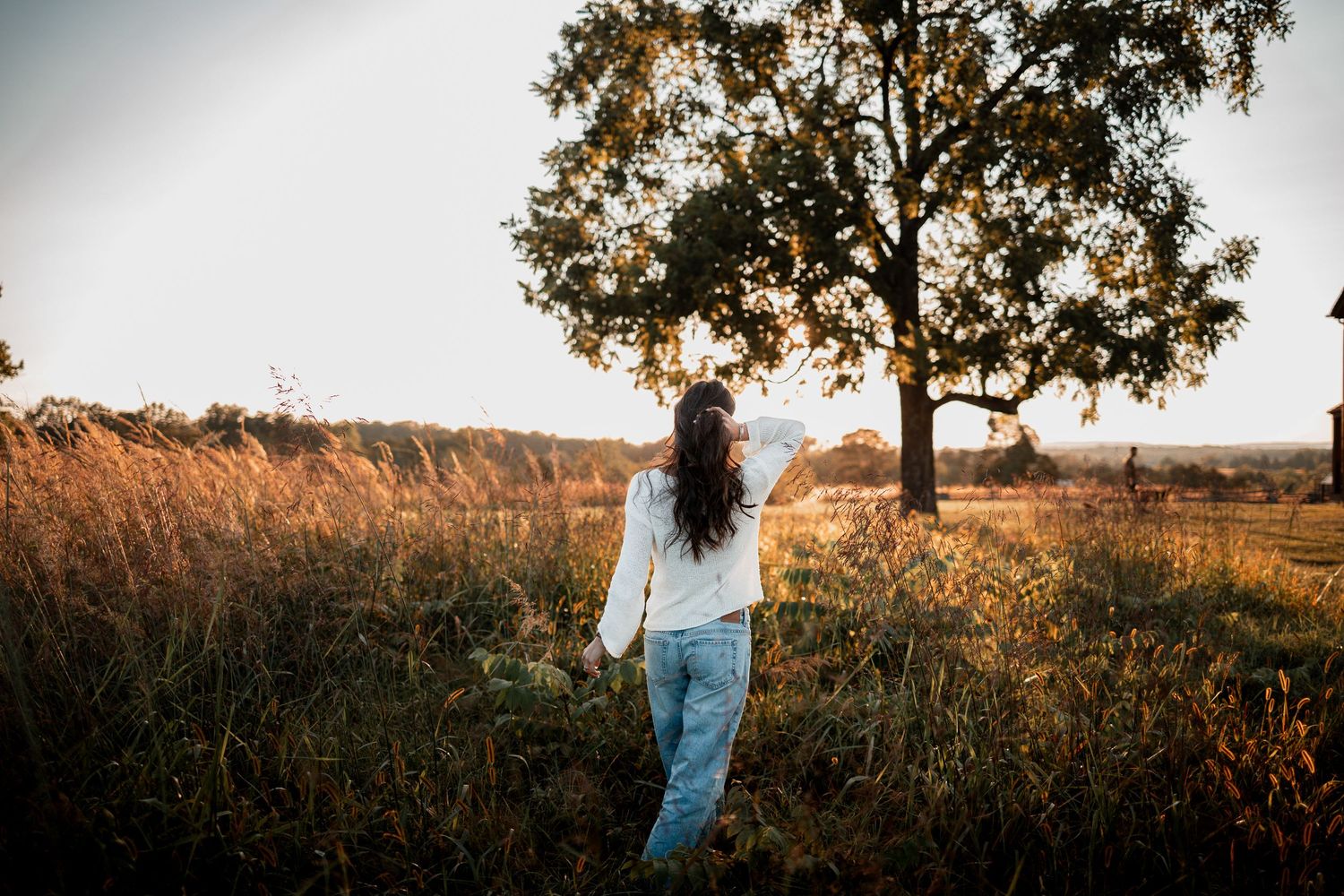 A dreamy sunset scene in a grassy field with trees creating silhouettes against the warm golden light.