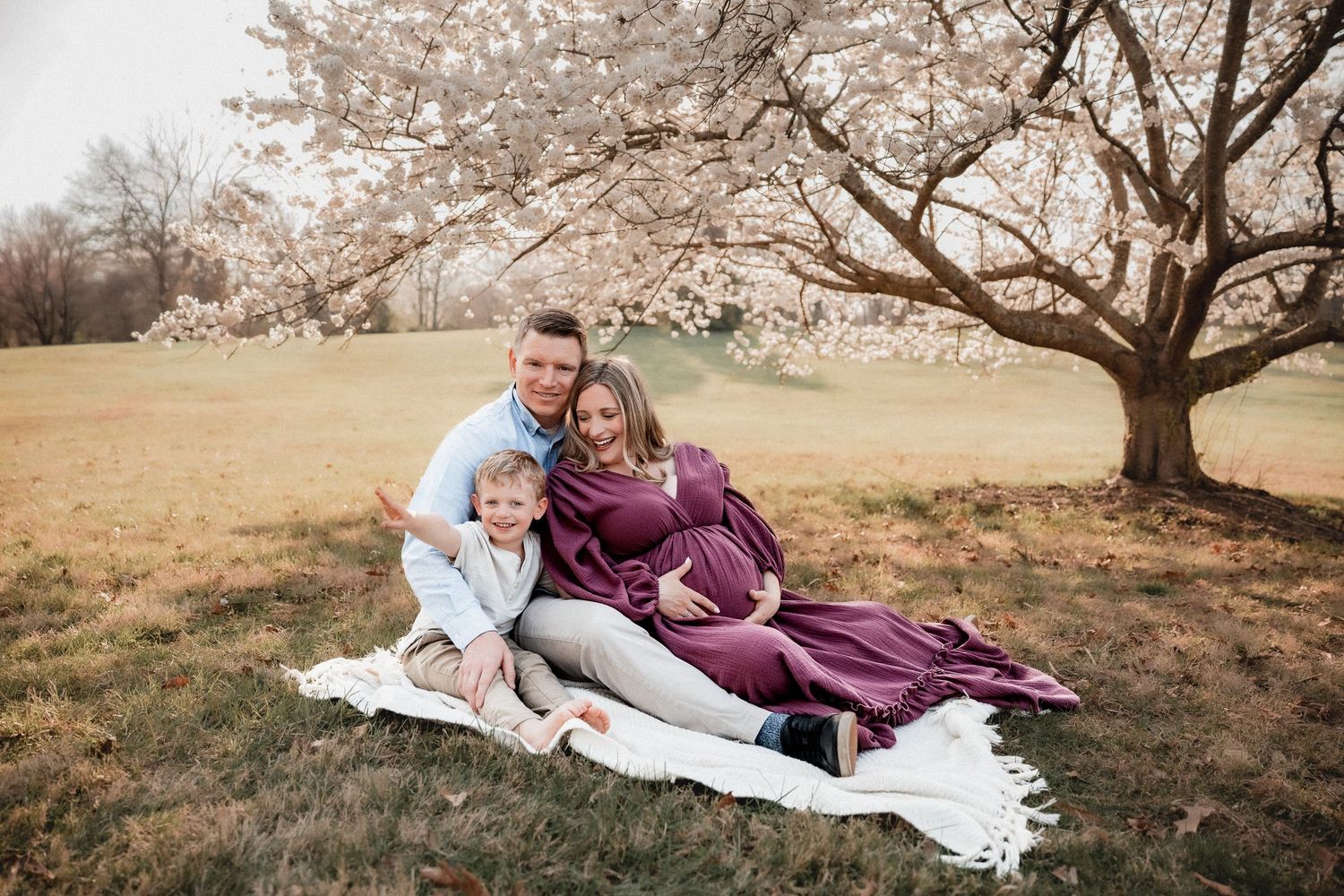Family maternity photo under blooming cherry tree on white blanket in park, pregnant woman in purple dress.