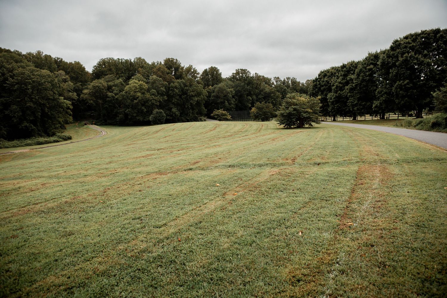 Row of panoramic landscape photos showing a green grassy hillside stretching towards a distant treeline under cloudy skies.