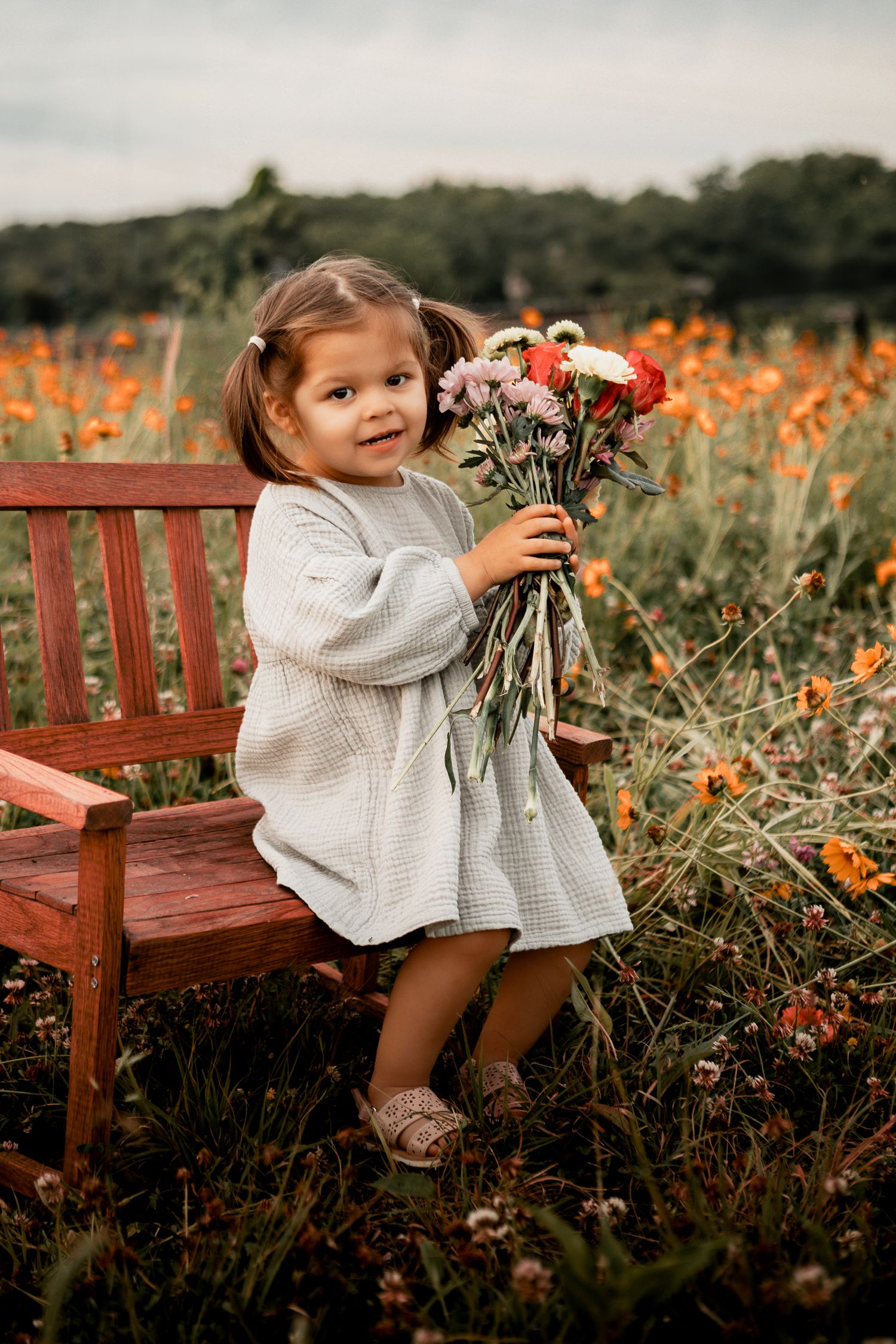 A child in a gray dress sits on a wooden bench holding a bouquet of flowers in a field of orange wildflowers.