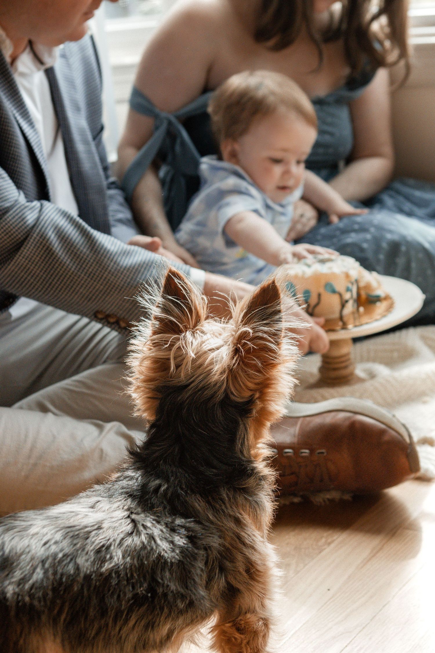 Yorkshire terrier dog watching family enjoy breakfast together on hardwood floor with plate of food visible.