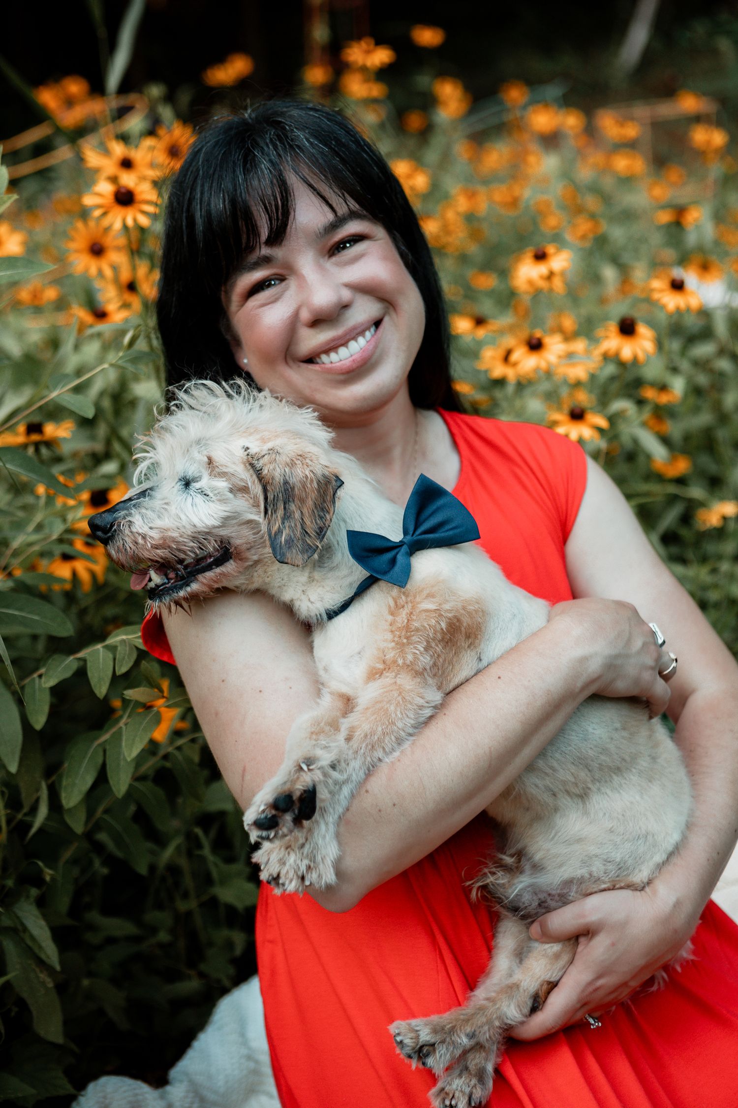 Someone in a bright red top cuddles a small fluffy dog wearing a blue bow tie in front of yellow blooming flowers.