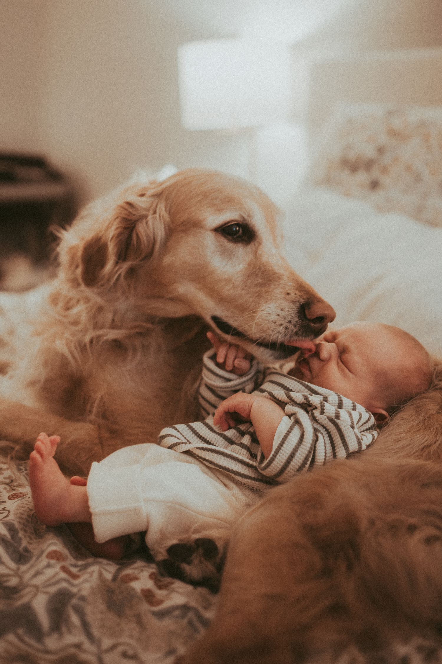 Golden retriever dog gently snuggles with baby in striped onesie on cozy bed.