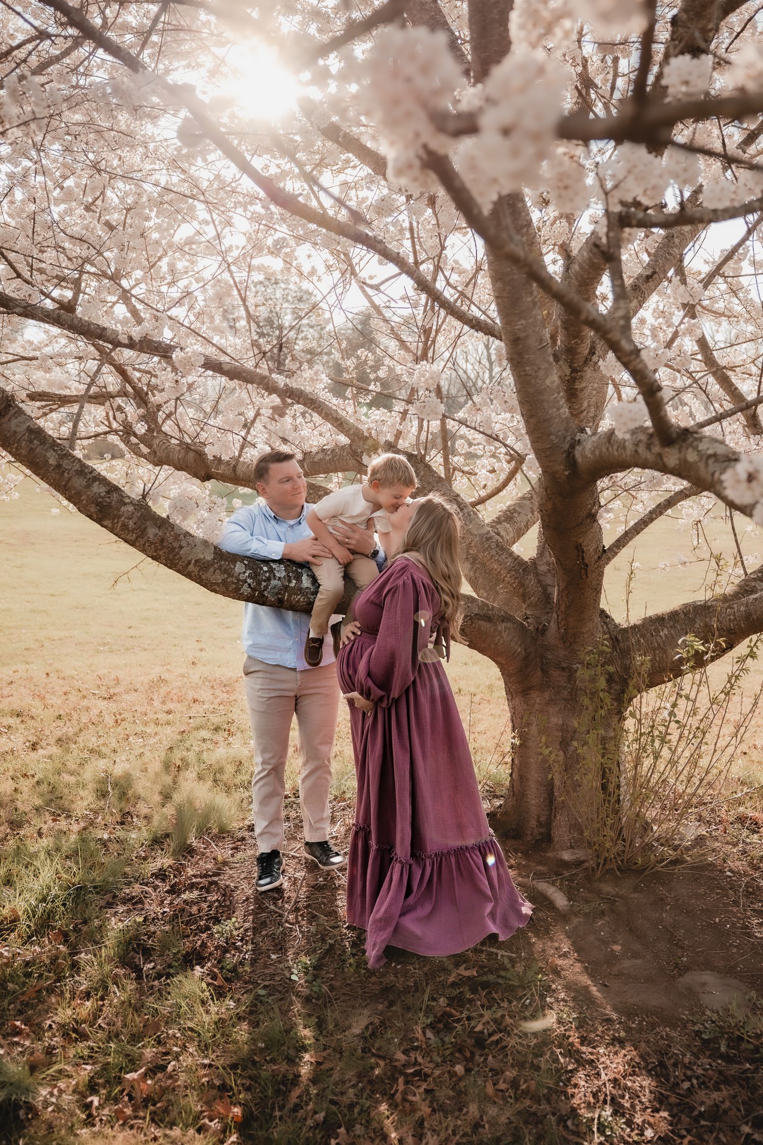 Family of three sharing a tender moment under a blooming cherry blossom tree in a sunlit field.