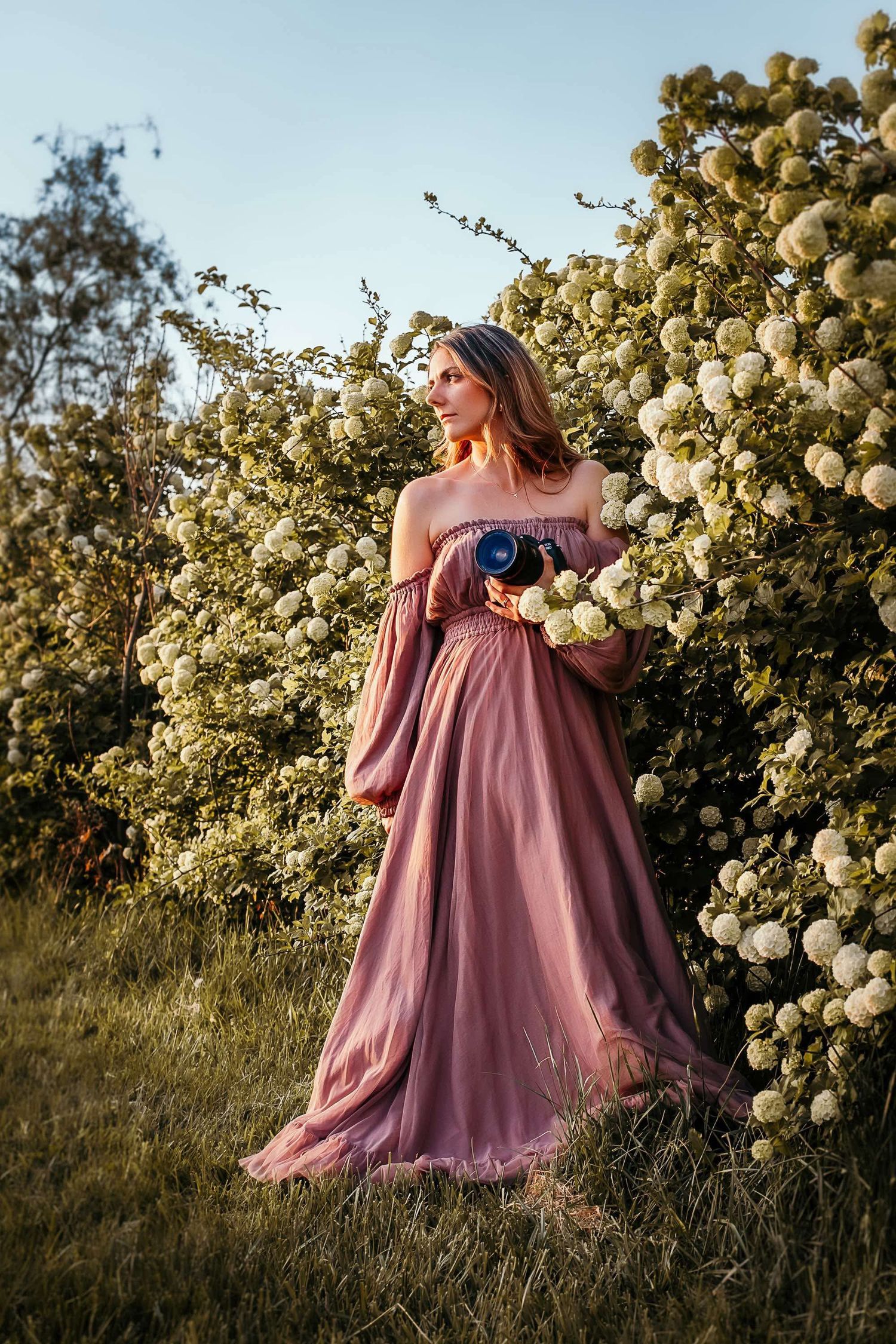 Woman in elegant pink off-shoulder gown holding camera among white flowering bushes in golden hour light.