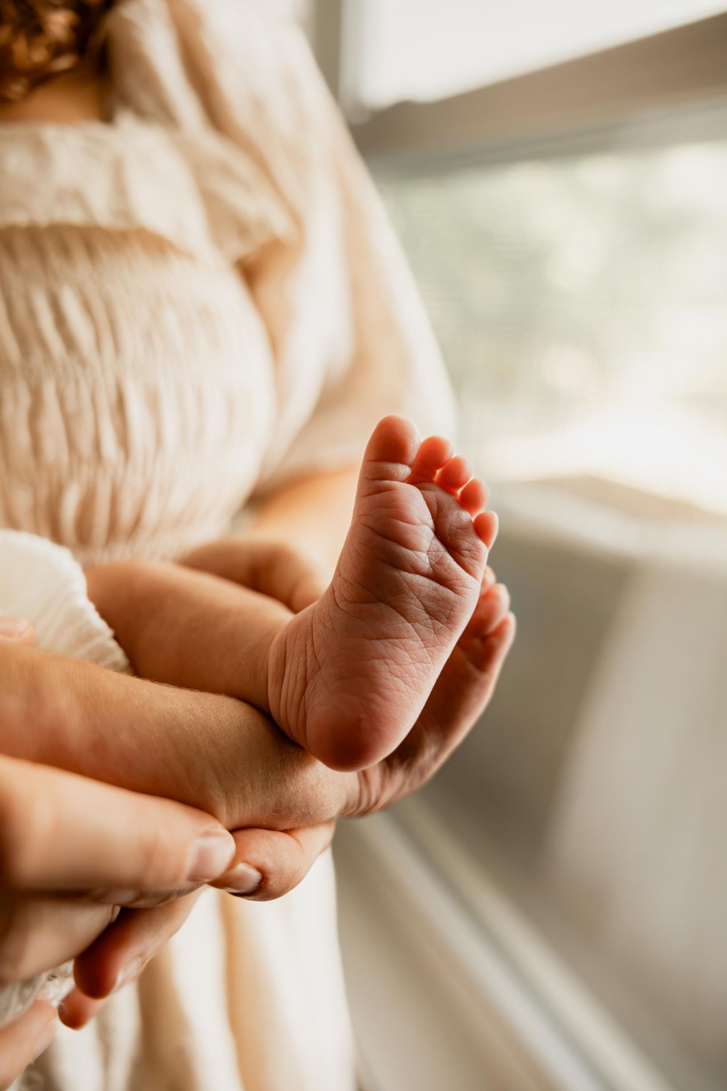 Close-up of a newborn baby's tiny feet cradled gently in a parent's hands near a bright window.