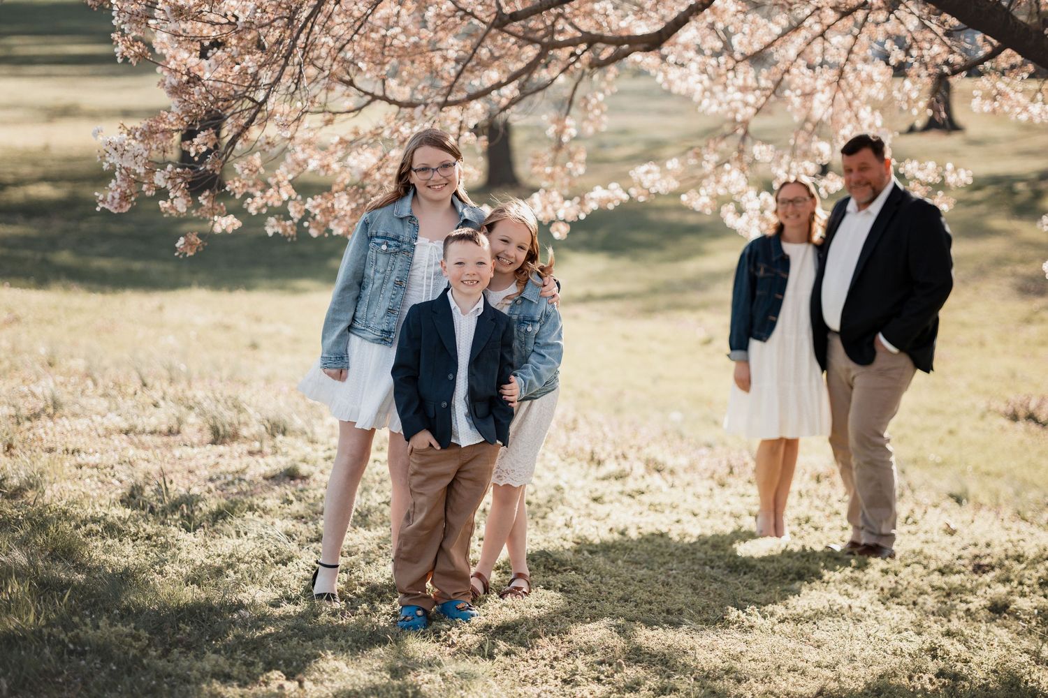 Family of five posing under blooming cherry blossom tree on sunny day in park, wearing casual spring outfits.