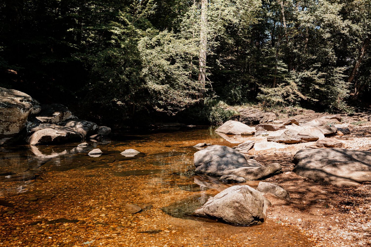 A serene mountain stream flows through a rocky forest landscape with golden-tinted water and scattered boulders.