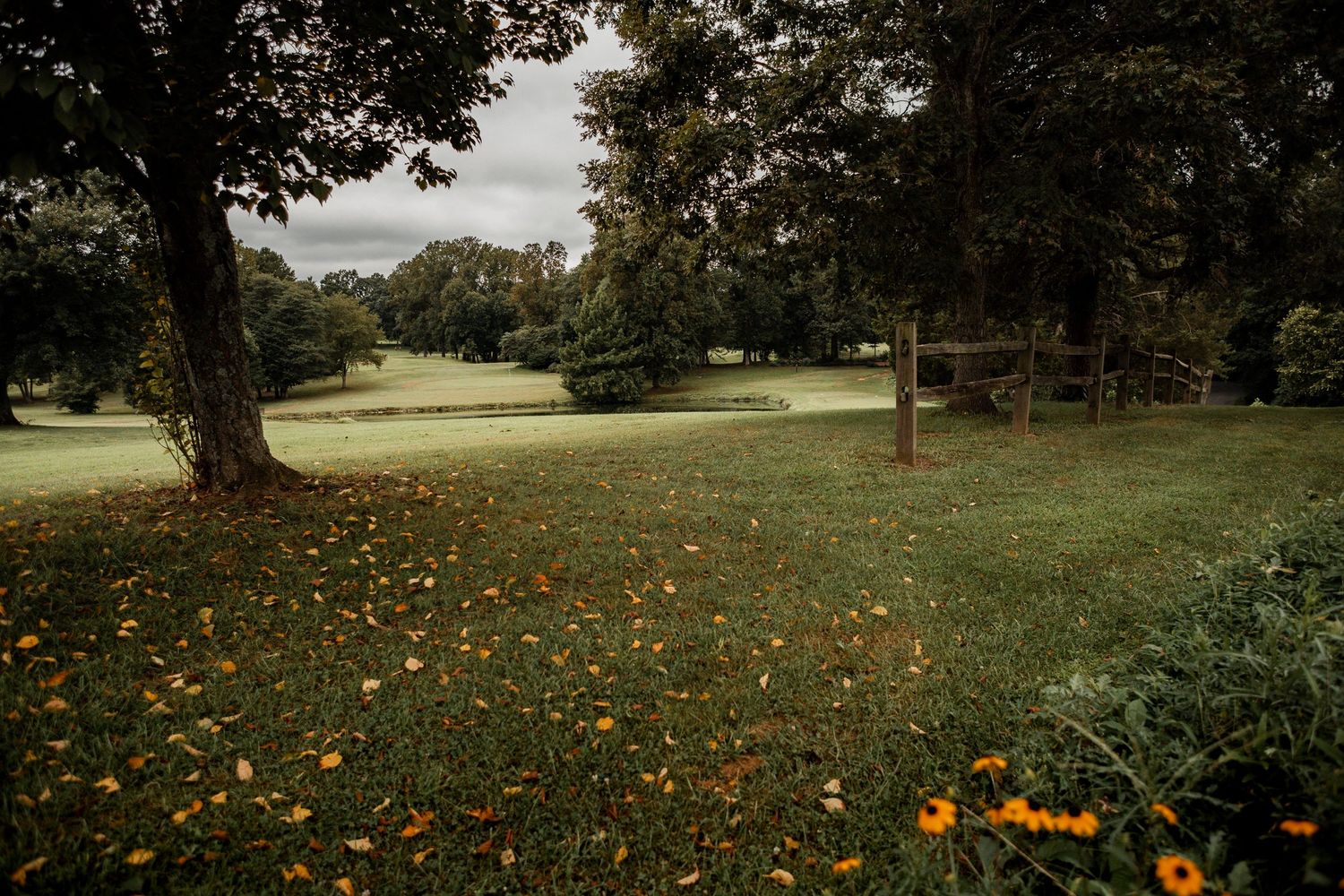Orange flowers dot a green lawn in a park landscape with scattered trees and moody overcast sky.