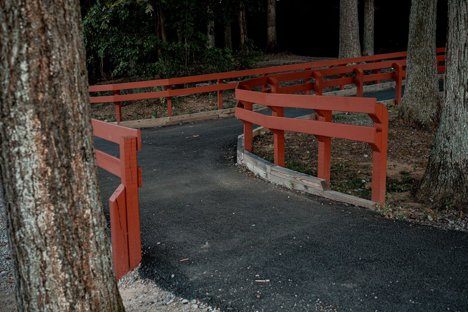 Red wooden benches line a paved pathway through trees in an outdoor park setting.