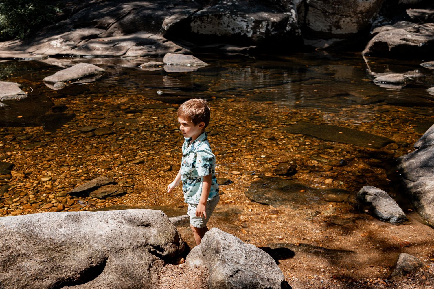 A serene wooded creek bed shows exposed rocks and fallen autumn leaves in shallow flowing water.