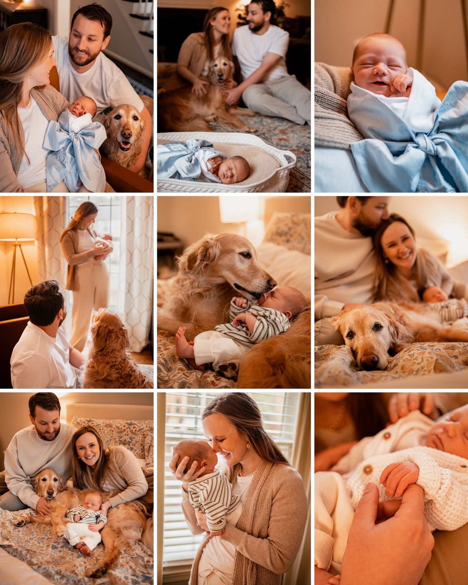 Family lifestyle moments at home with baby and dog showing candid interactions in warm lighting.