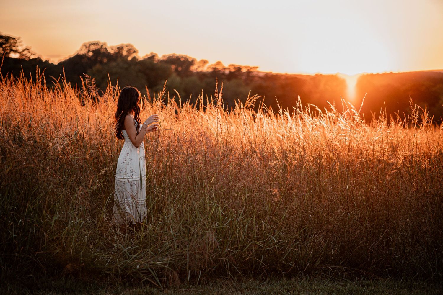Silhouette of tall grass and countryside landscape backlit by dramatic orange sunset.