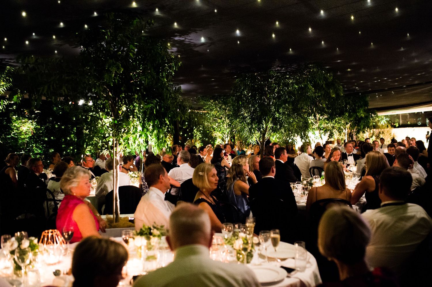 Tina Piltz photographs heartfelt family and wedding moments on location — serving Sutherland Shire, South Sydney & Sydney’s Eastern Suburbs.