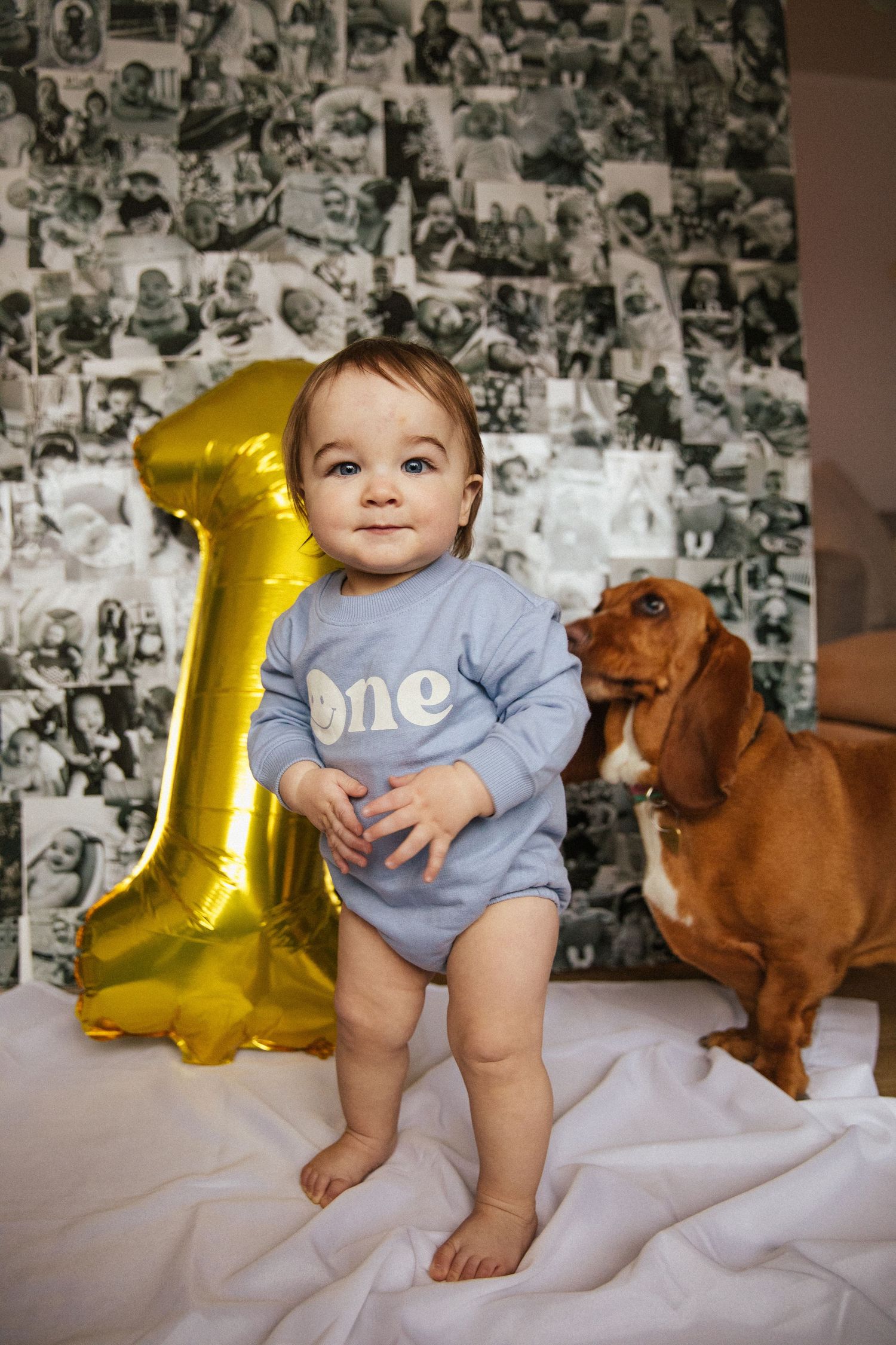 Baby in blue onesie poses with gold number one balloon and dachshund against photo collage wall.
