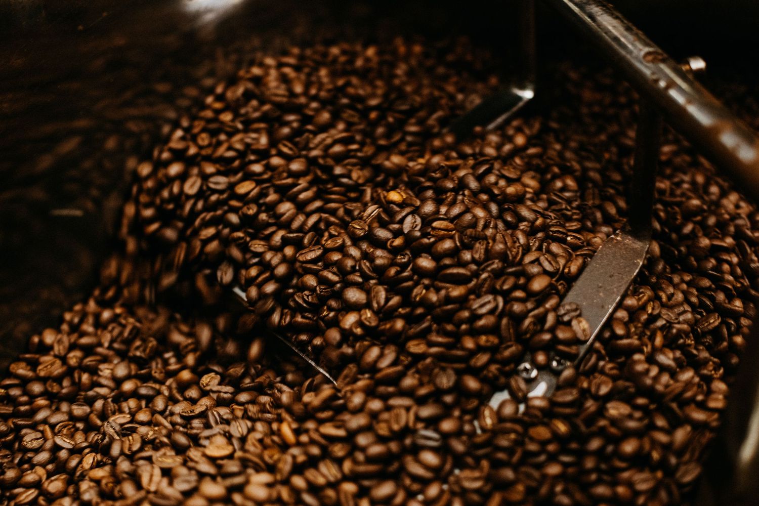 Fresh roasted coffee beans scattered across a dark surface with dramatic lighting.