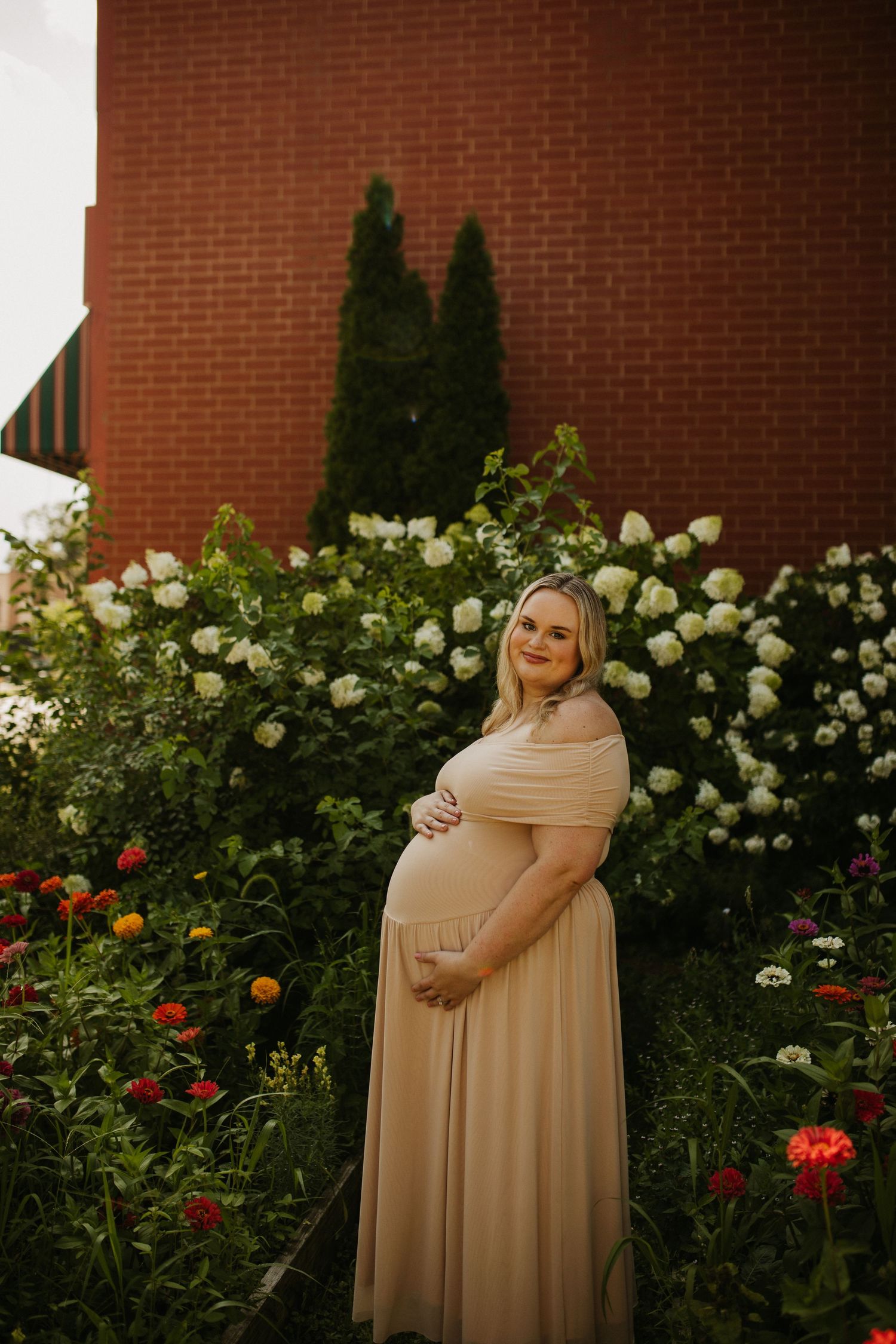 Maternity portrait in garden with blooming white roses and brick wall backdrop.