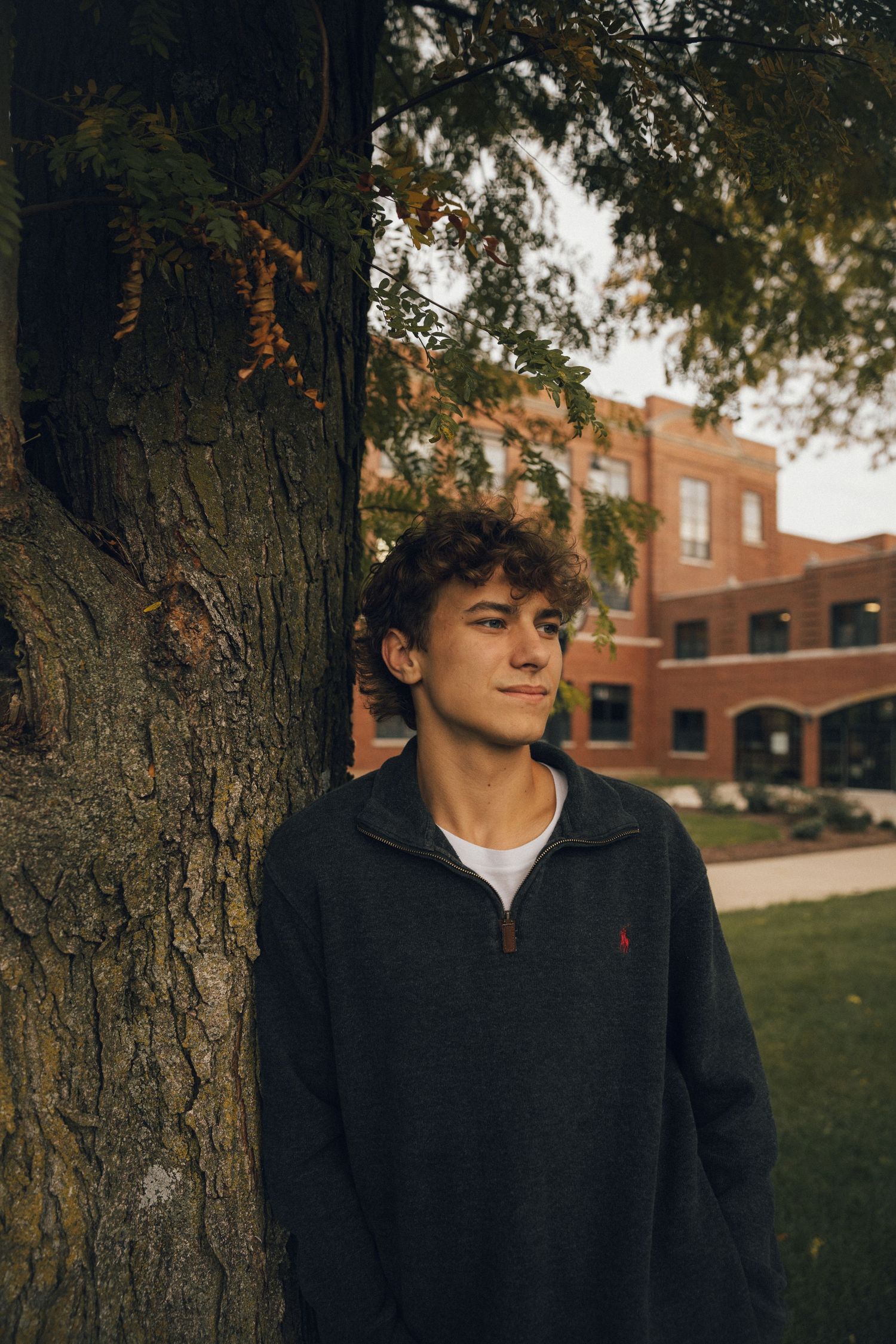 Person in dark hoodie leans against tree trunk at sunset.