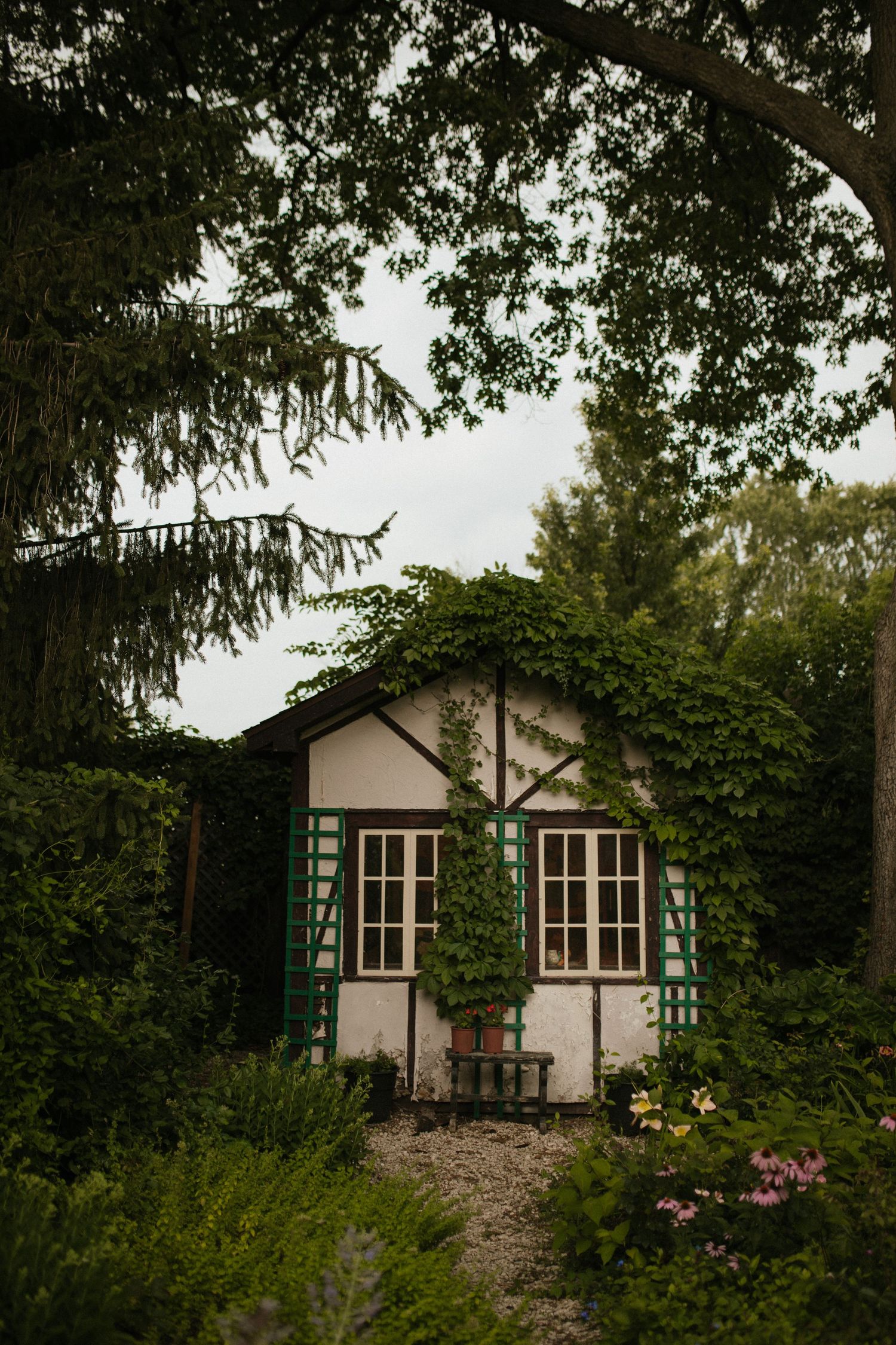 Charming cottage with green shutters covered in ivy and surrounded by lush garden.