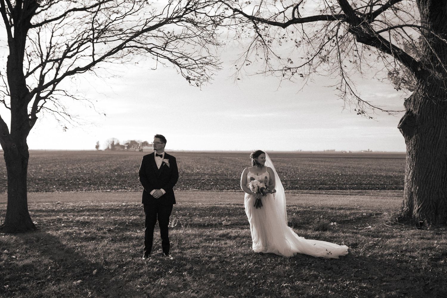 Black and white panoramic wedding photo taken between bare trees in an open field.