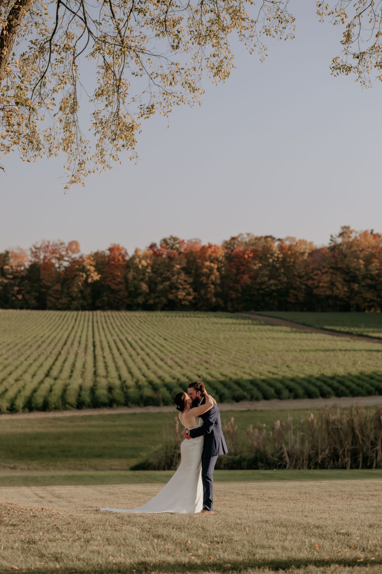A couple embraces in a romantic moment against a backdrop of autumn vineyards and golden fields at sunset.