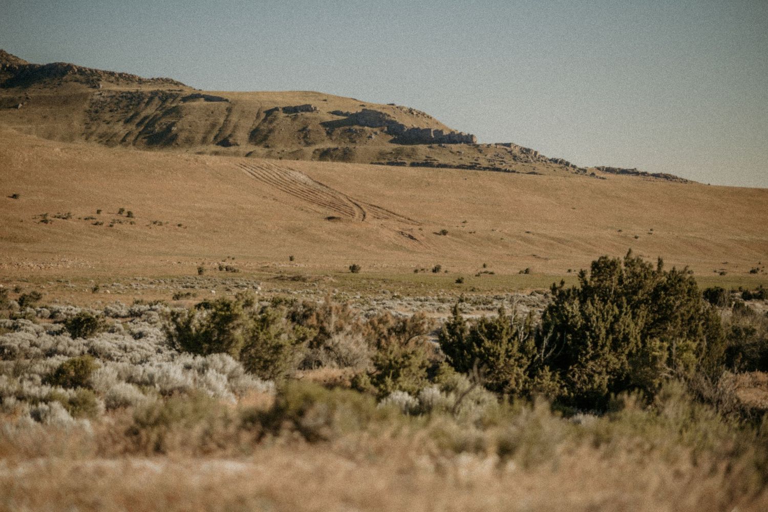 Panoramic view of arid desert hills with sparse vegetation and scrub brush stretching across the horizon.