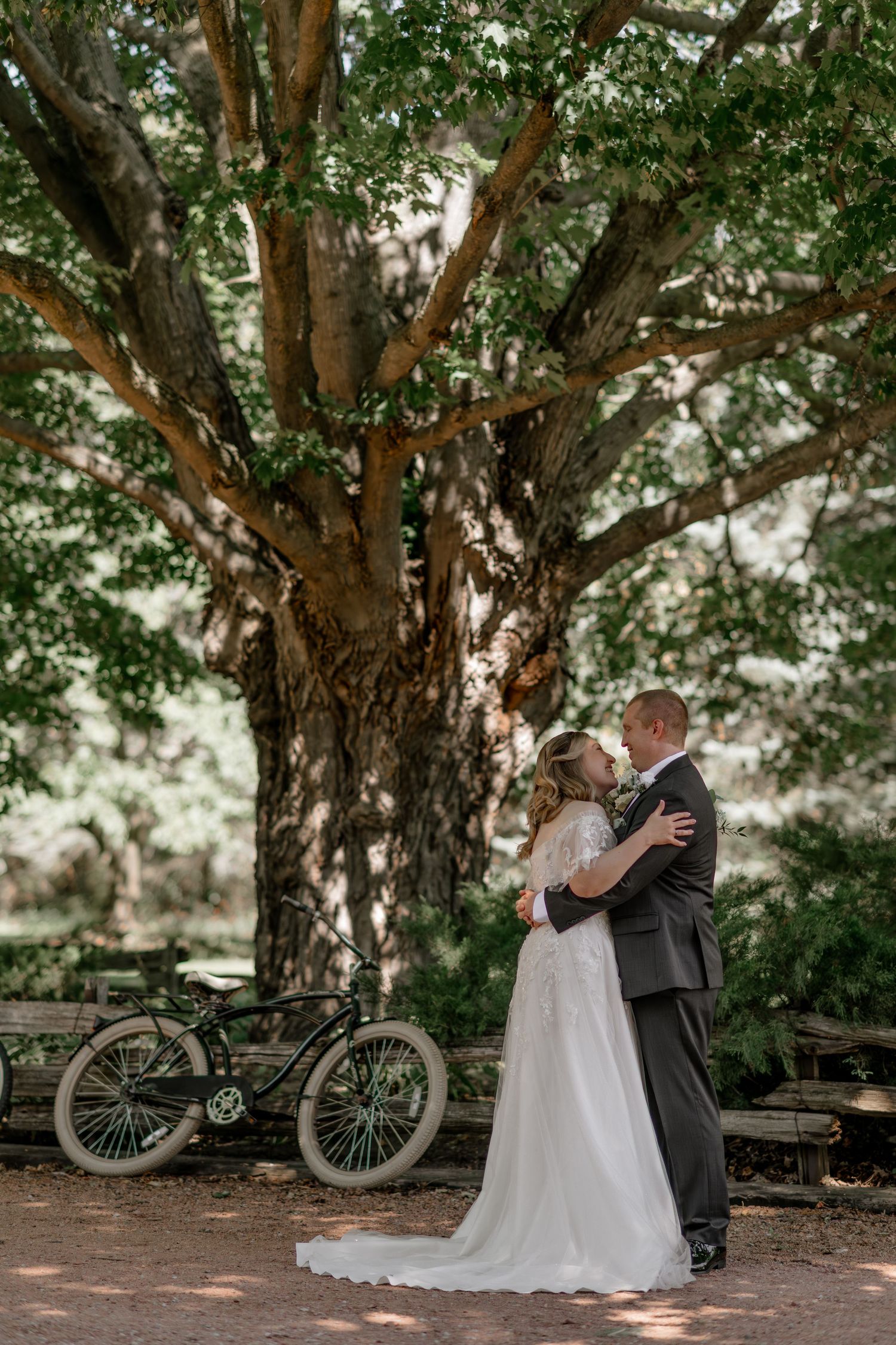 Romantic outdoor wedding scene with vintage bicycles under large trees creating a natural canopy.