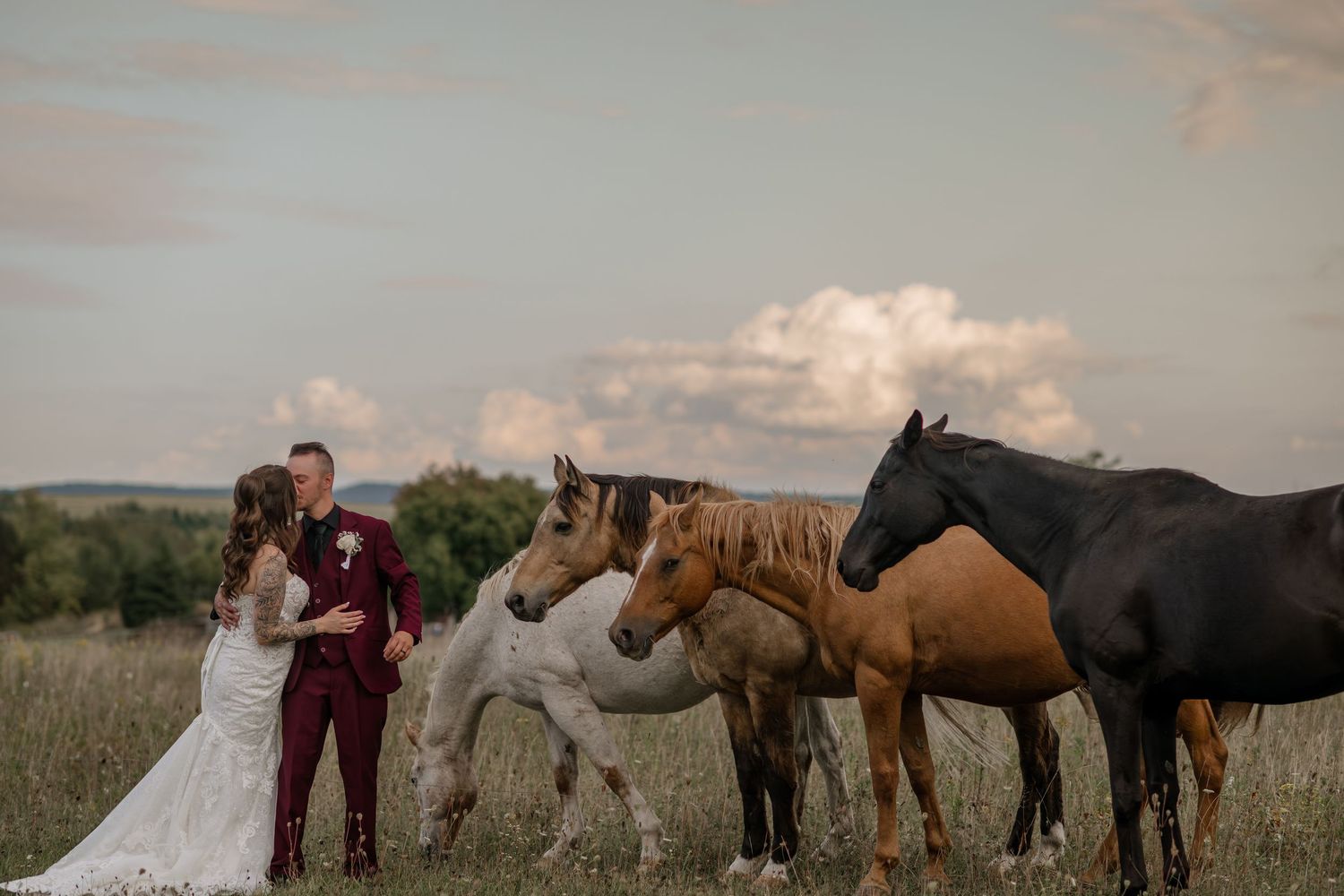 Beautiful horses stand in a line against a scenic mountain backdrop at a wedding.