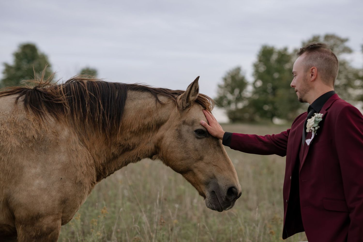 Brown horse interacts with wedding couple in an outdoor field setting.